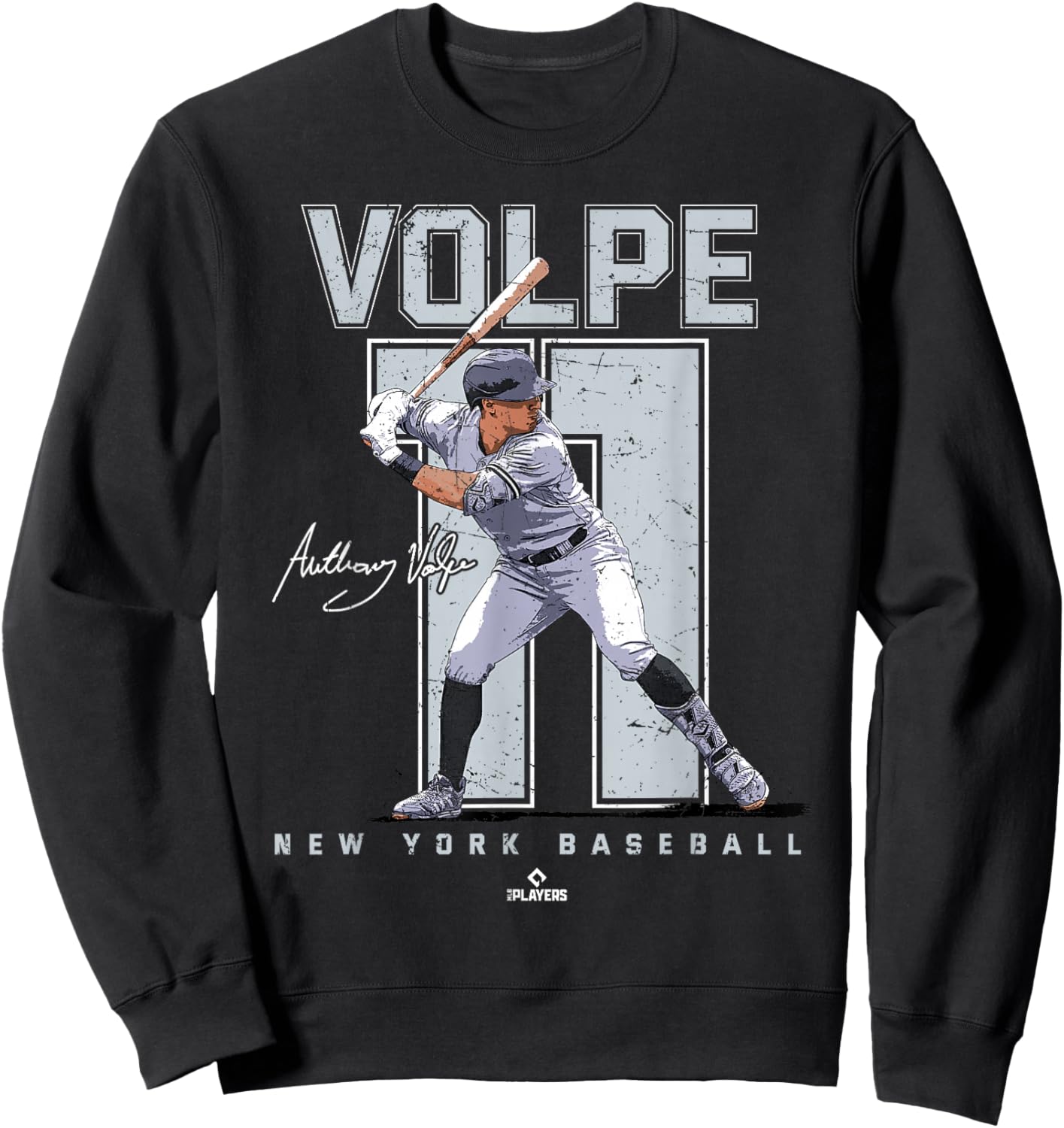 BallPark MVP Adult Black Baseball with Anthony Volpe Portrait, Small Sweatshirt - Sweatshirt | Black