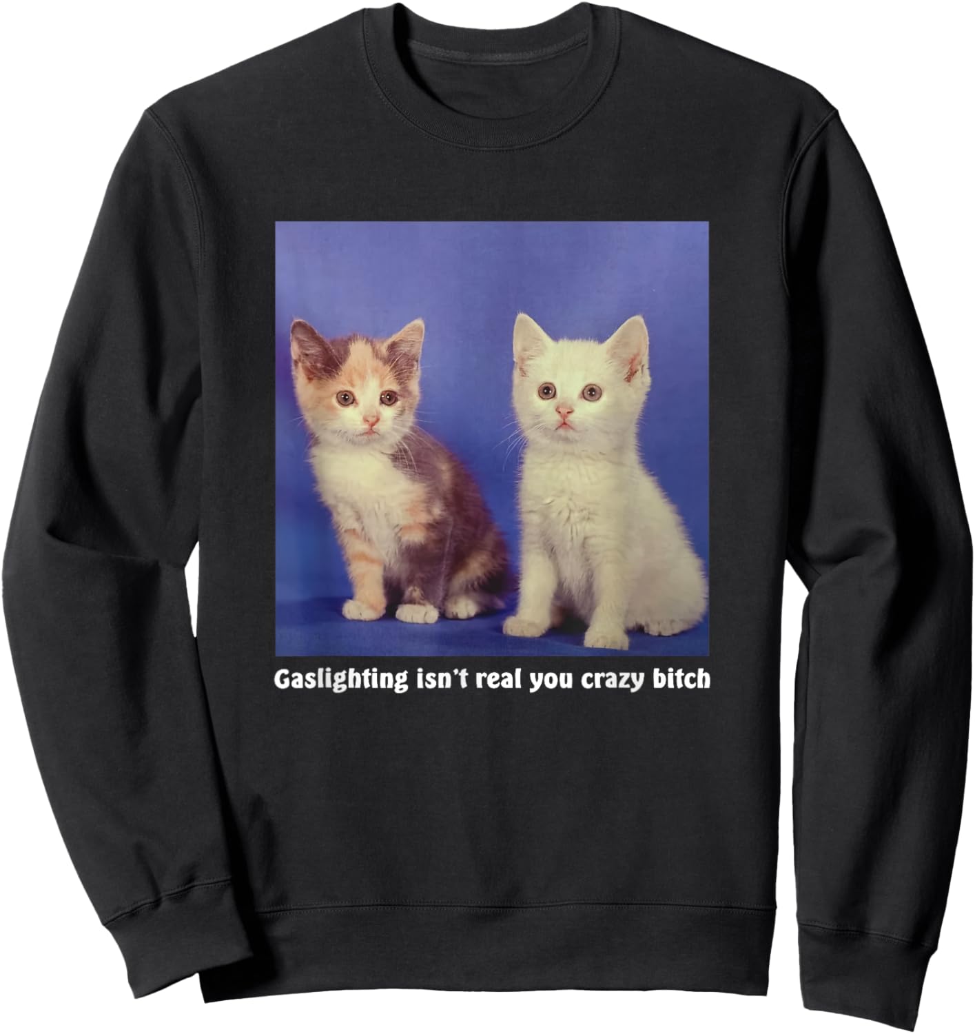 Gaslighting Isn't Real You Crazy B.I.T.C.H Funny Cat Lover Women Sweatshirt - Sweatshirt | Black