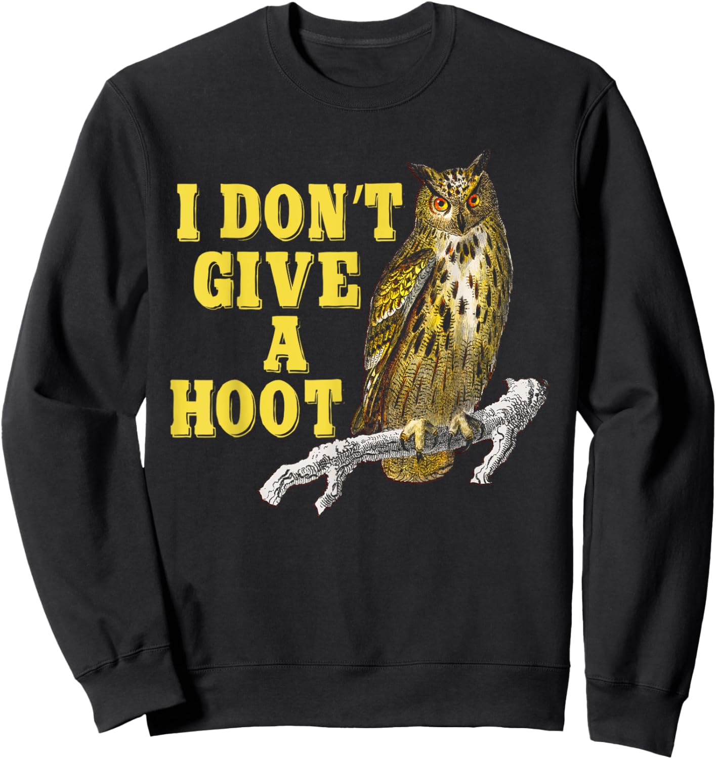 I Don't Give A Hoot Give A Hoot T Shirt Owl Lover Funny Owls Sweatshirt - Sweatshirt | Black