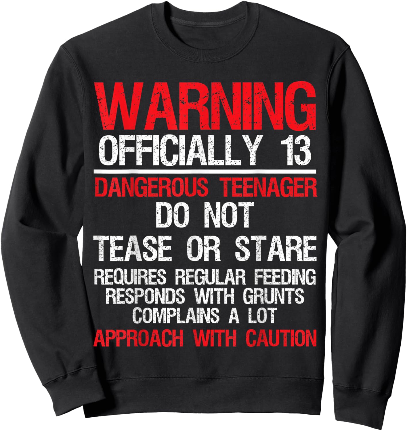 13 Years Old Warning Dangerous Teenager 13th Birthday Sweatshirt - Sweatshirt | Black