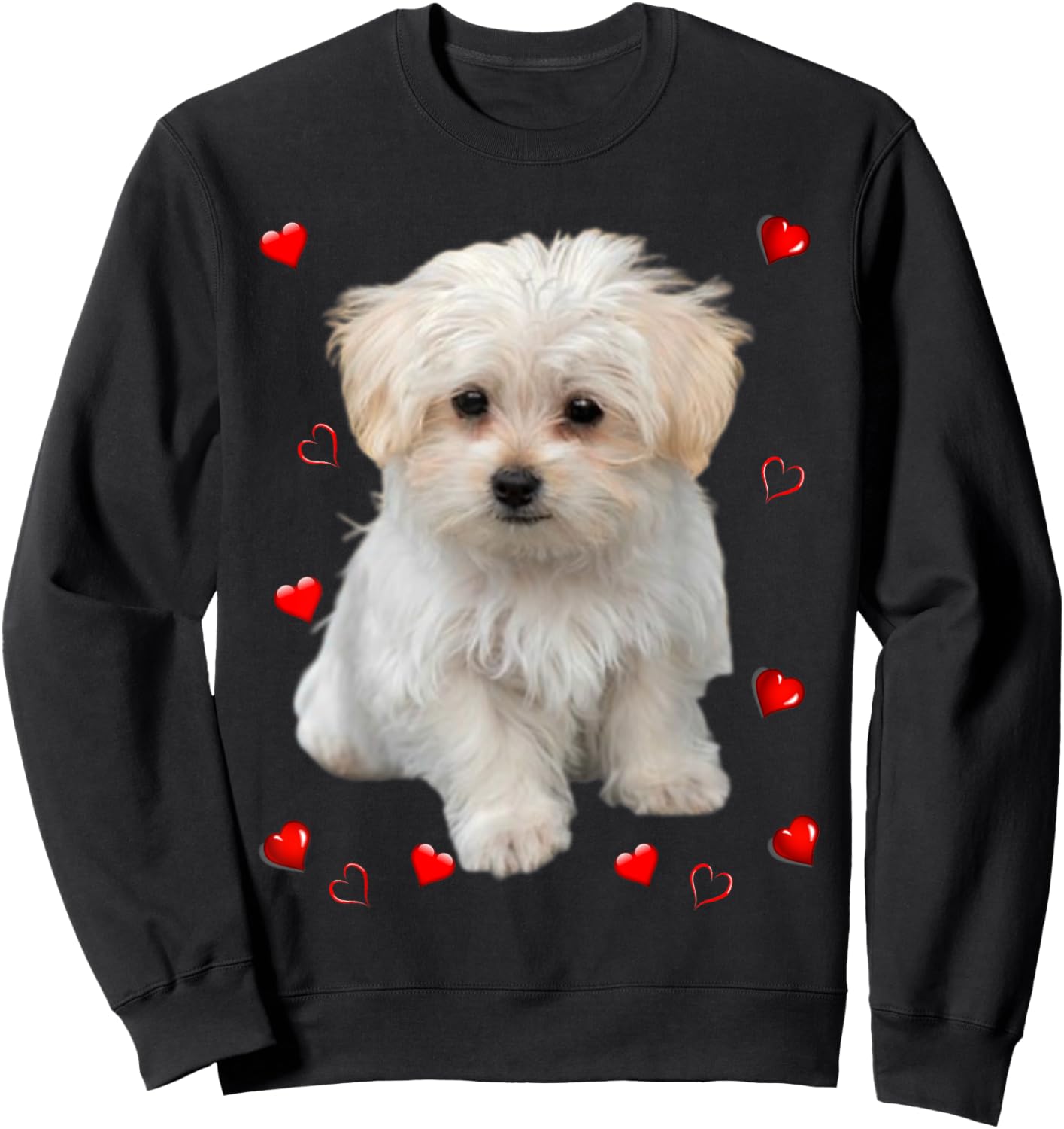 Maltese Dog Lover Puppy Owner Hearts, Maltipoo Mix Fans Sweatshirt - Sweatshirt | Black