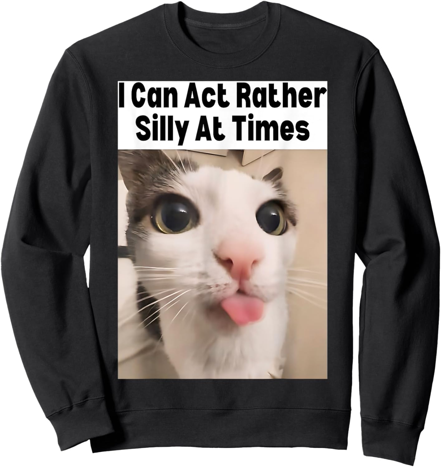 I Can Act Rather Silly At Times Cat Meme Funny Meme Gen Z Sweatshirt - Sweatshirt | Black