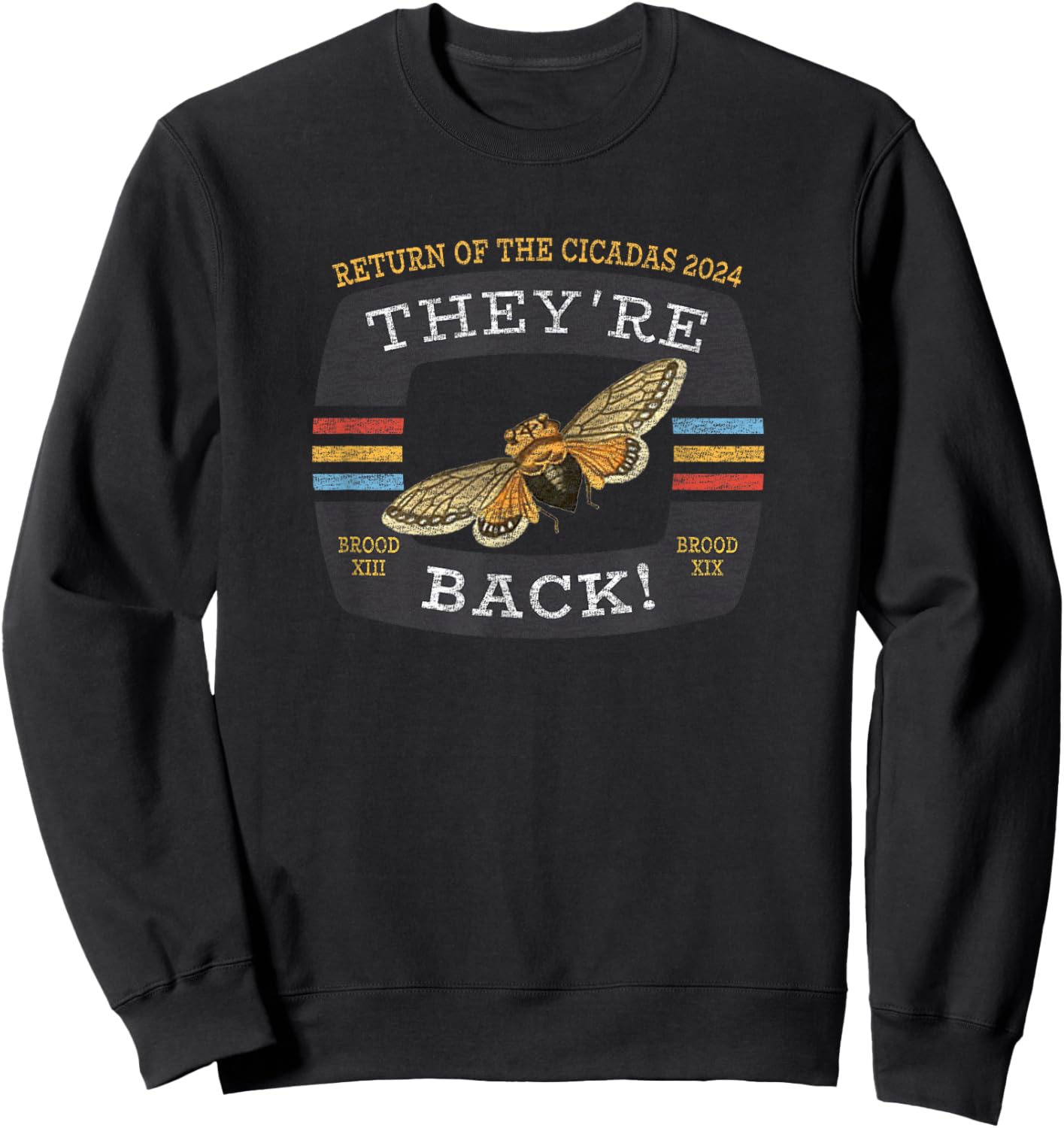 Cicada Brood XIX And Brood XIII 2024 Reemergence Sweatshirt - Sweatshirt | Black