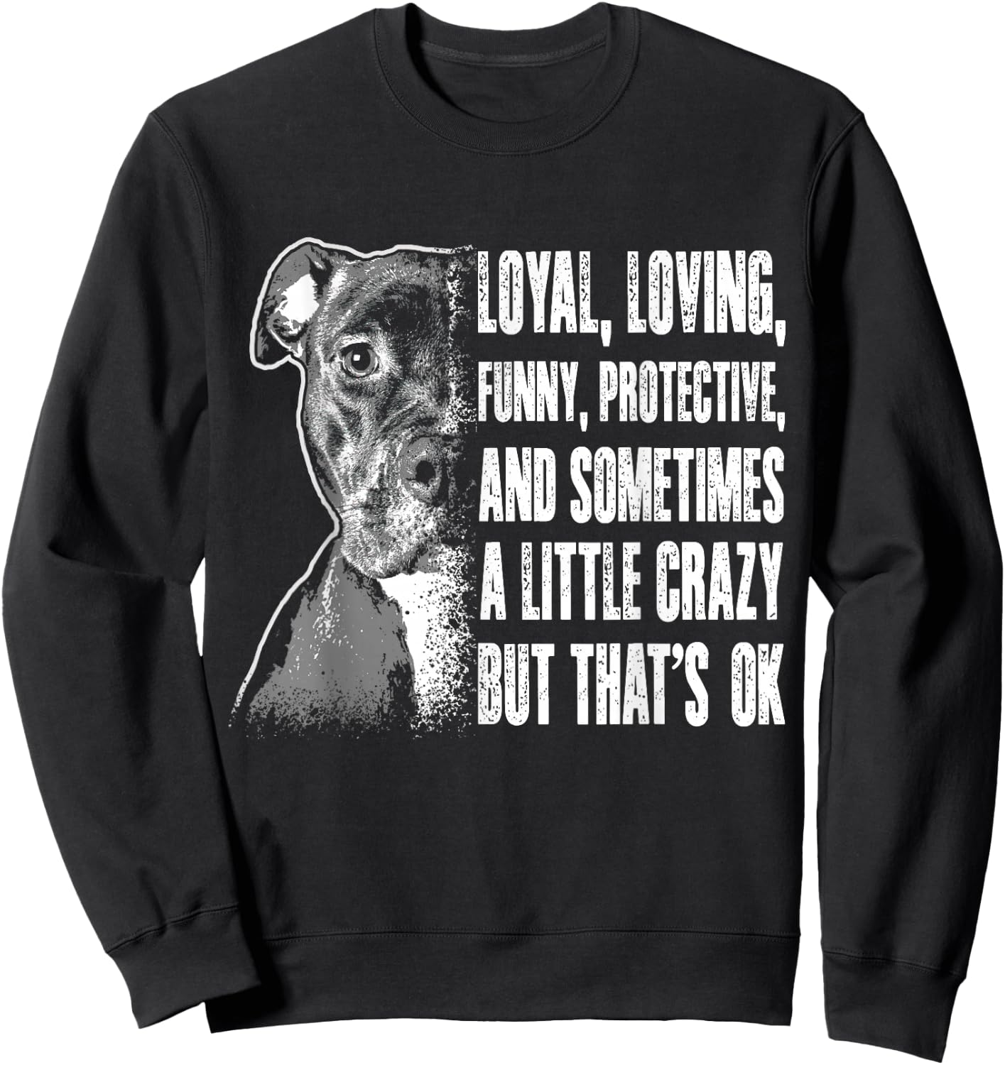 Pitbull Shirts Men Women Pitbull Rescue Shelter Dog Gift Sweatshirt - Sweatshirt | Black
