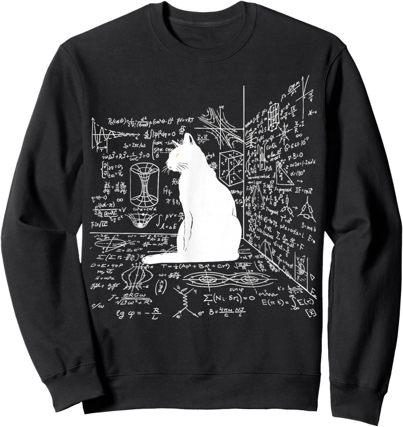 Schrodinger's Cat Inside the Box Sweatshirt - Sweatshirt | Black