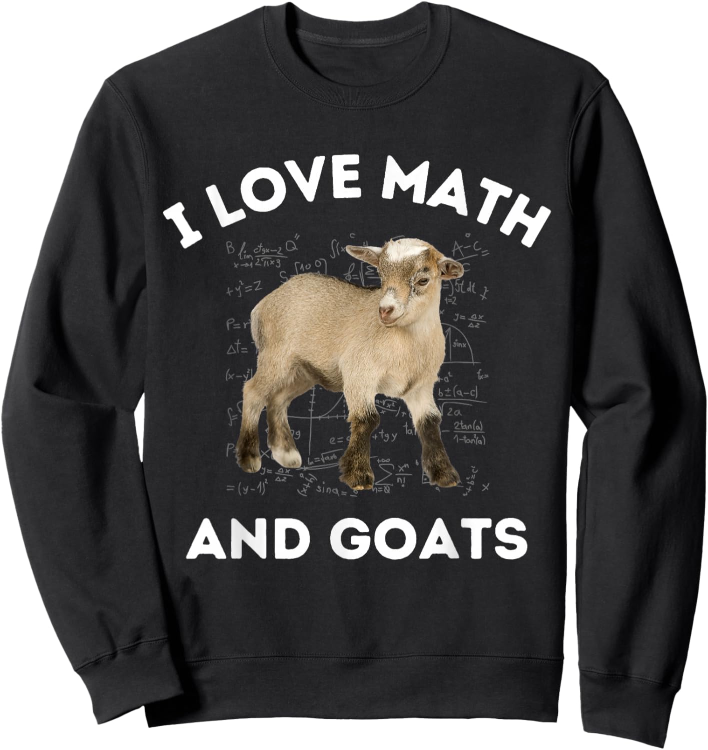 I Love Math and Goats Goat Farmer Lover Algebra Teacher Sweatshirt - Sweatshirt | Black