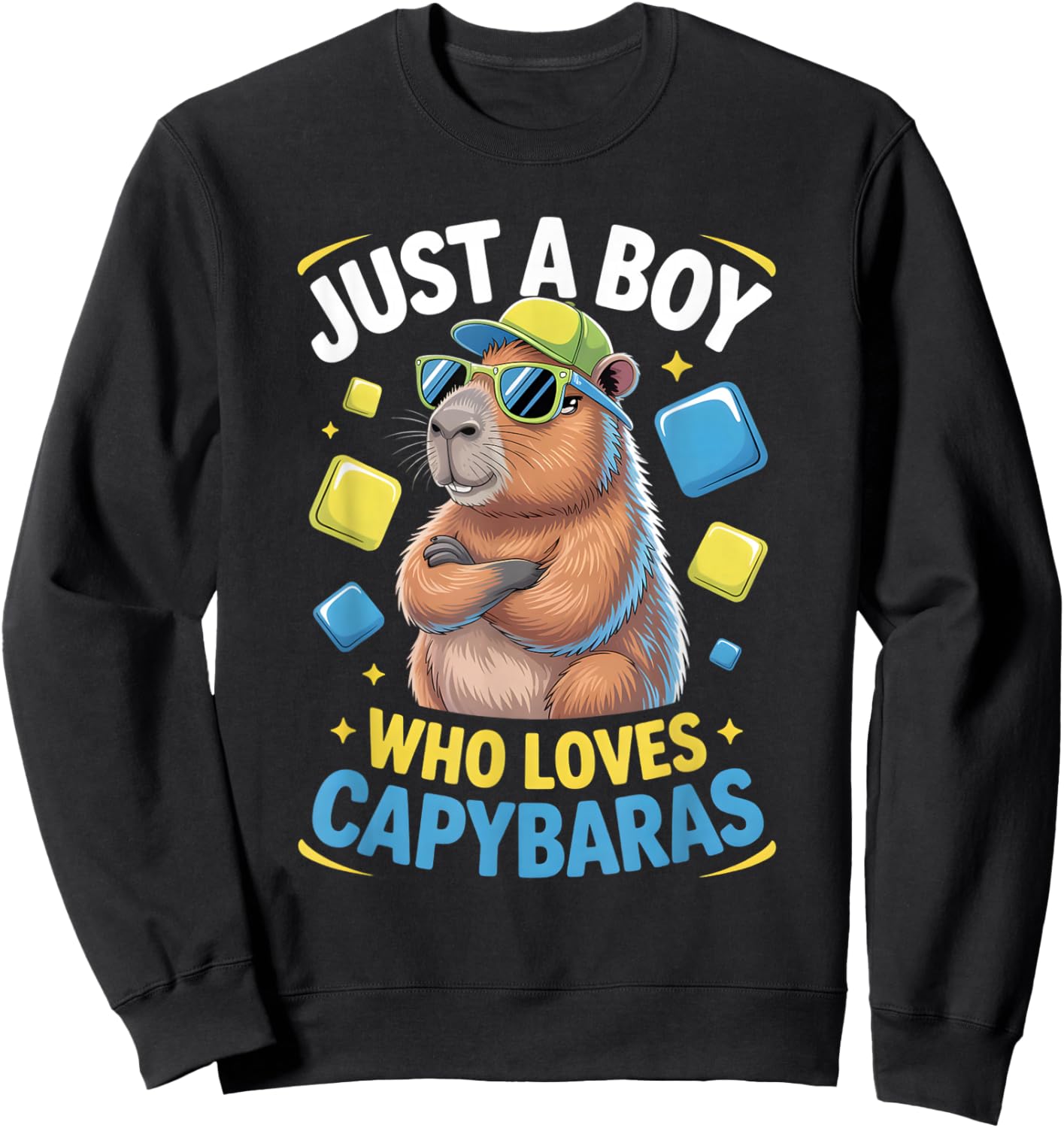 Boys Capybara Sweatshirt - Sweatshirt | Black