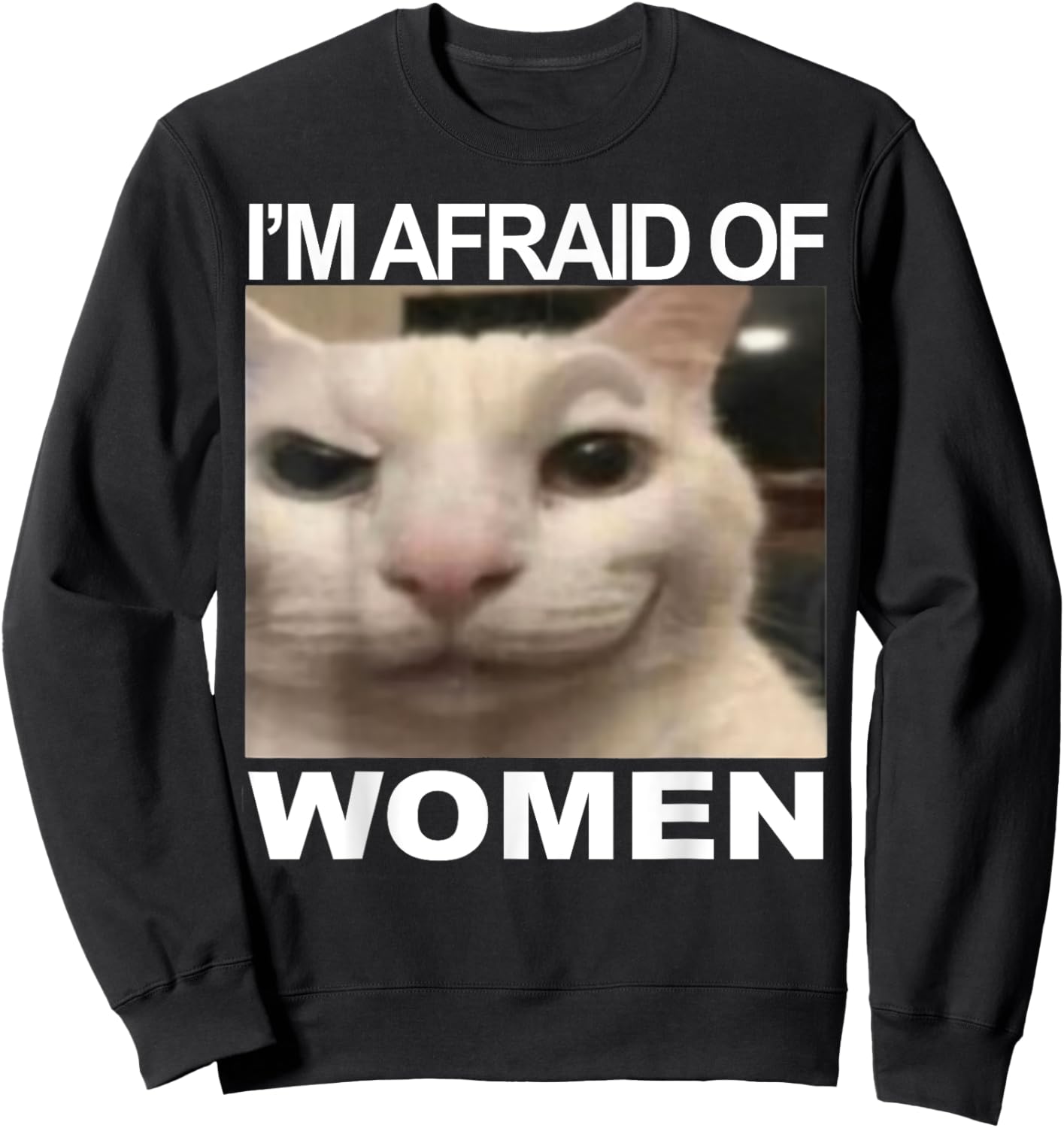 I’m Afraid Of Women Funny Meme Cat Lover Sarcastic Humorous Sweatshirt - Sweatshirt | Black