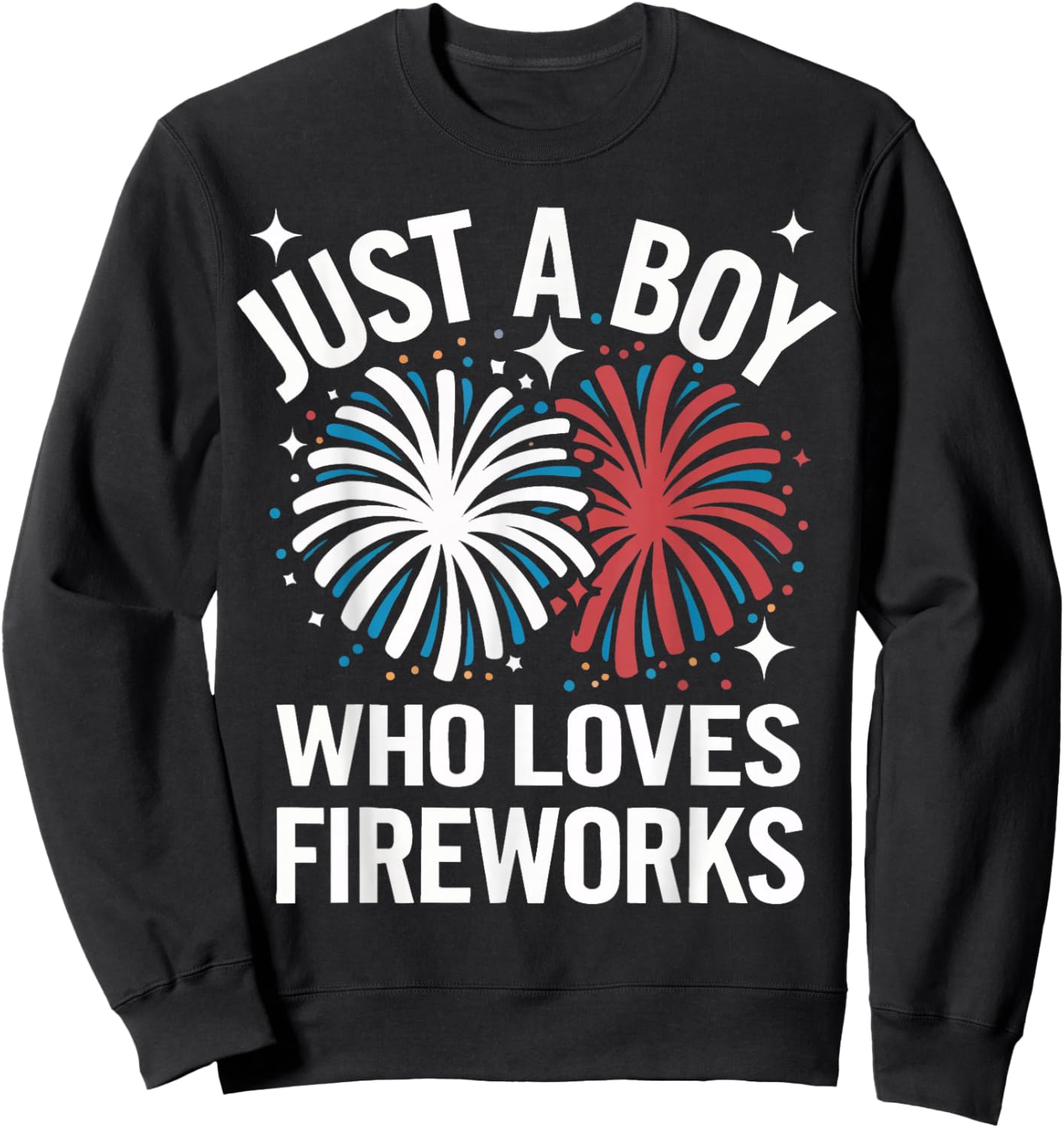 Fireworks Director Just A Boy Who Loves Fireworks Sweatshirt - Sweatshirt | Black