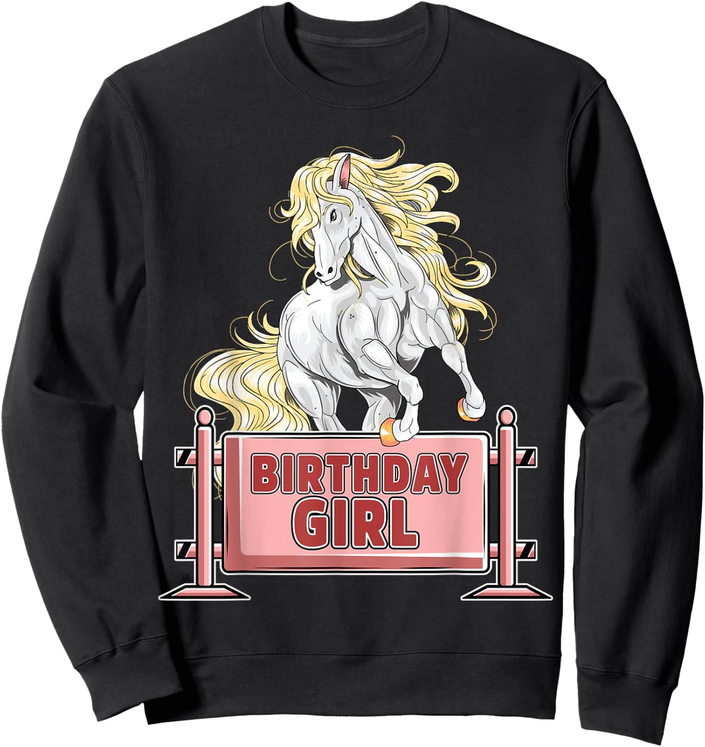 Cute Horse Birthday Girl Party Animal Farm Barn Horse Lover Sweatshirt - Sweatshirt | Black