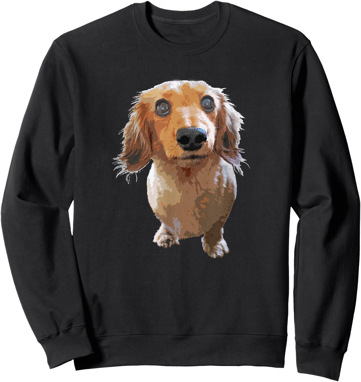 Long Hair Dachshund Cute Wiener Dog Gift Men Kids Sweatshirt - Sweatshirt | Black