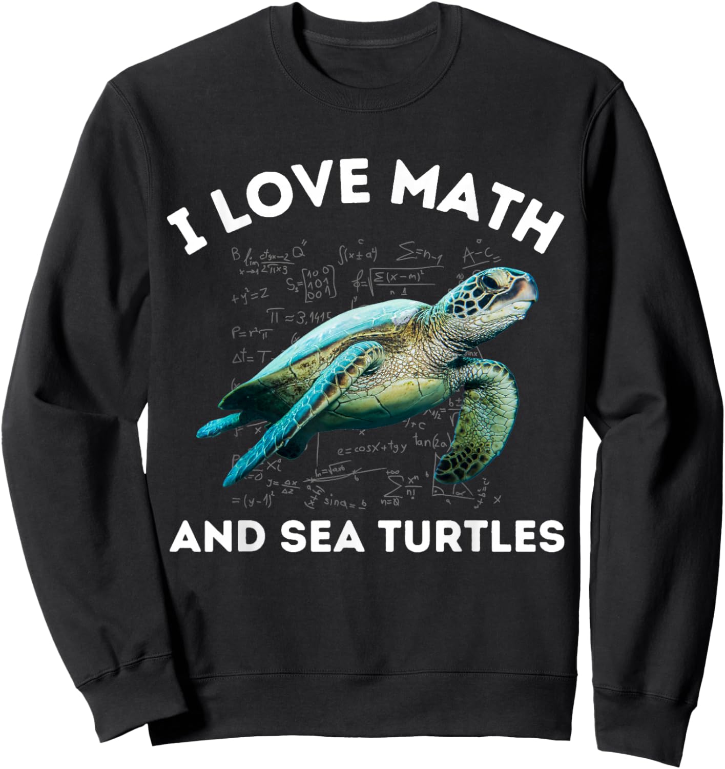 I Love Math and Sea Turtles Lover Algebra STEM Math Teacher Sweatshirt - Sweatshirt | Black