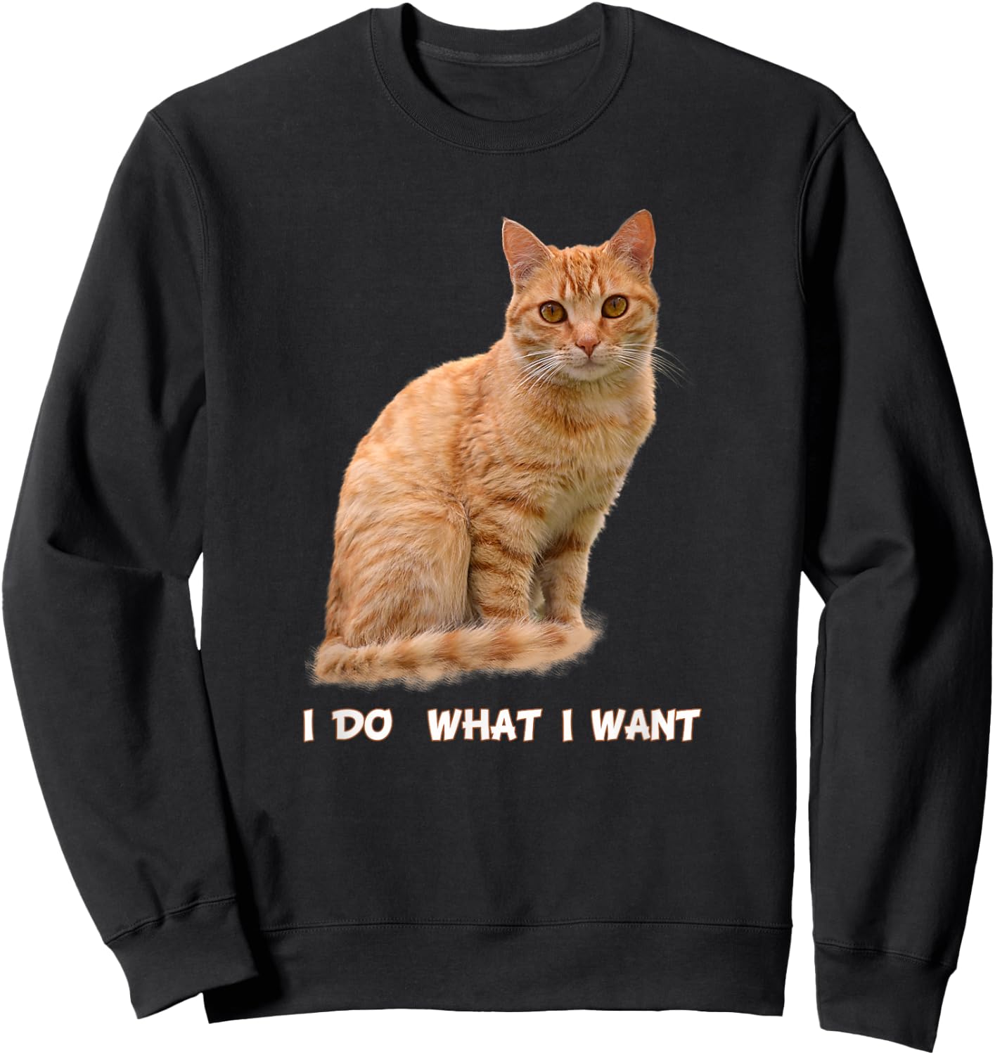 I Make What I Want Funny Orange Tabby Cat Lovers Sweatshirt - Sweatshirt | Black