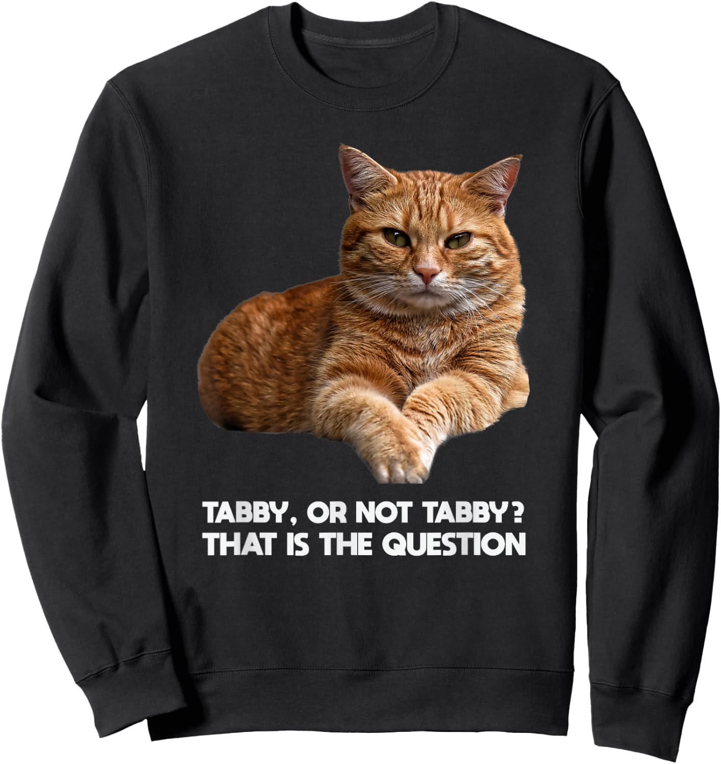 Orange Tabby Cat Funny Meme Design Graphic Sweatshirt - Sweatshirt | Black