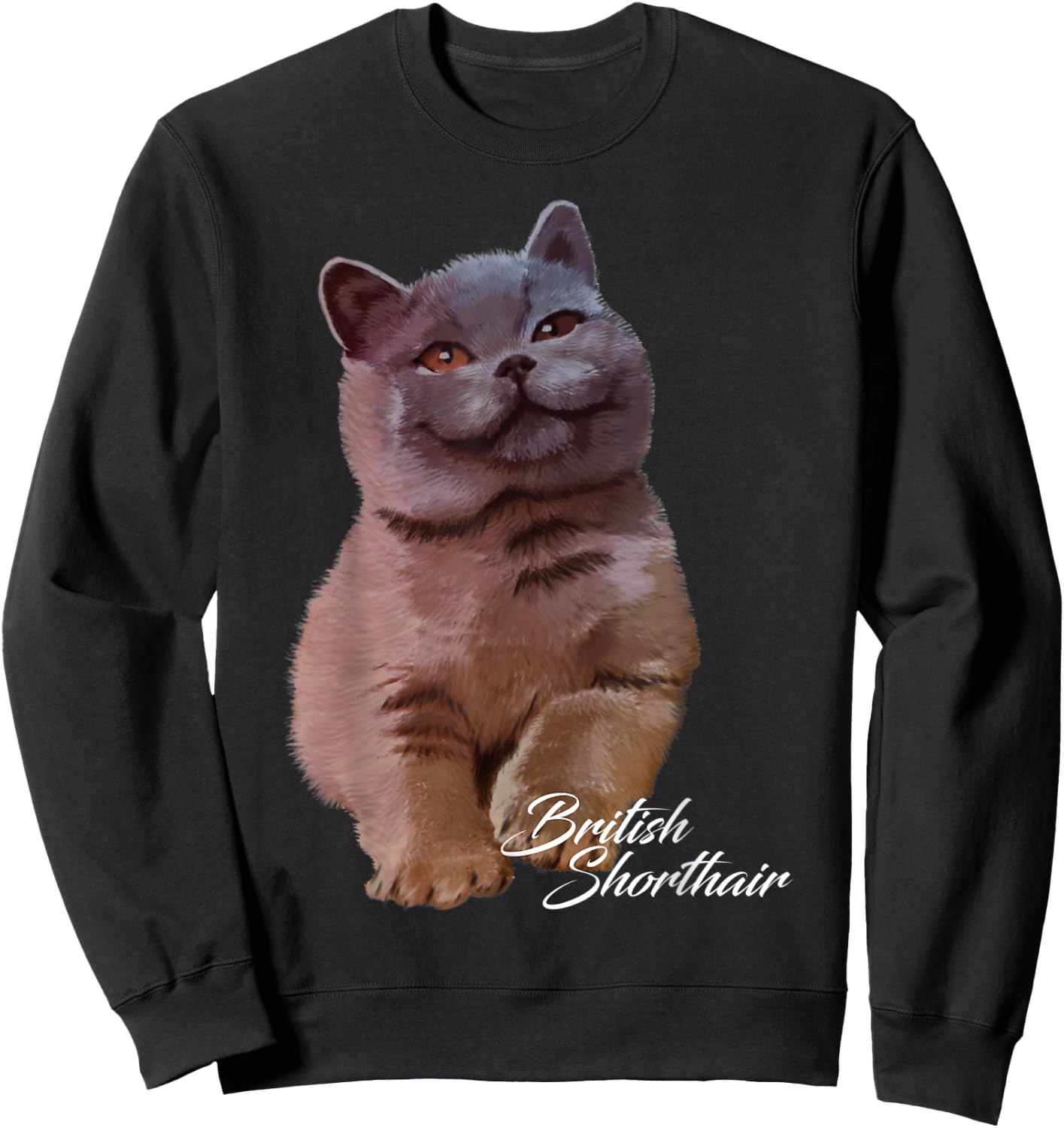 Colorful British Shorthair Cat Funny Kitties Lover Gift Men Women Kids Sweatshirt - Sweatshirt | Black