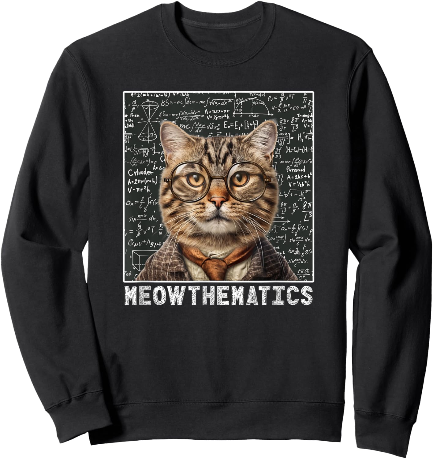 Only Laughs Apparel Meowthematics Cat Math Teacher Sweatshirt - Sweatshirt | Black
