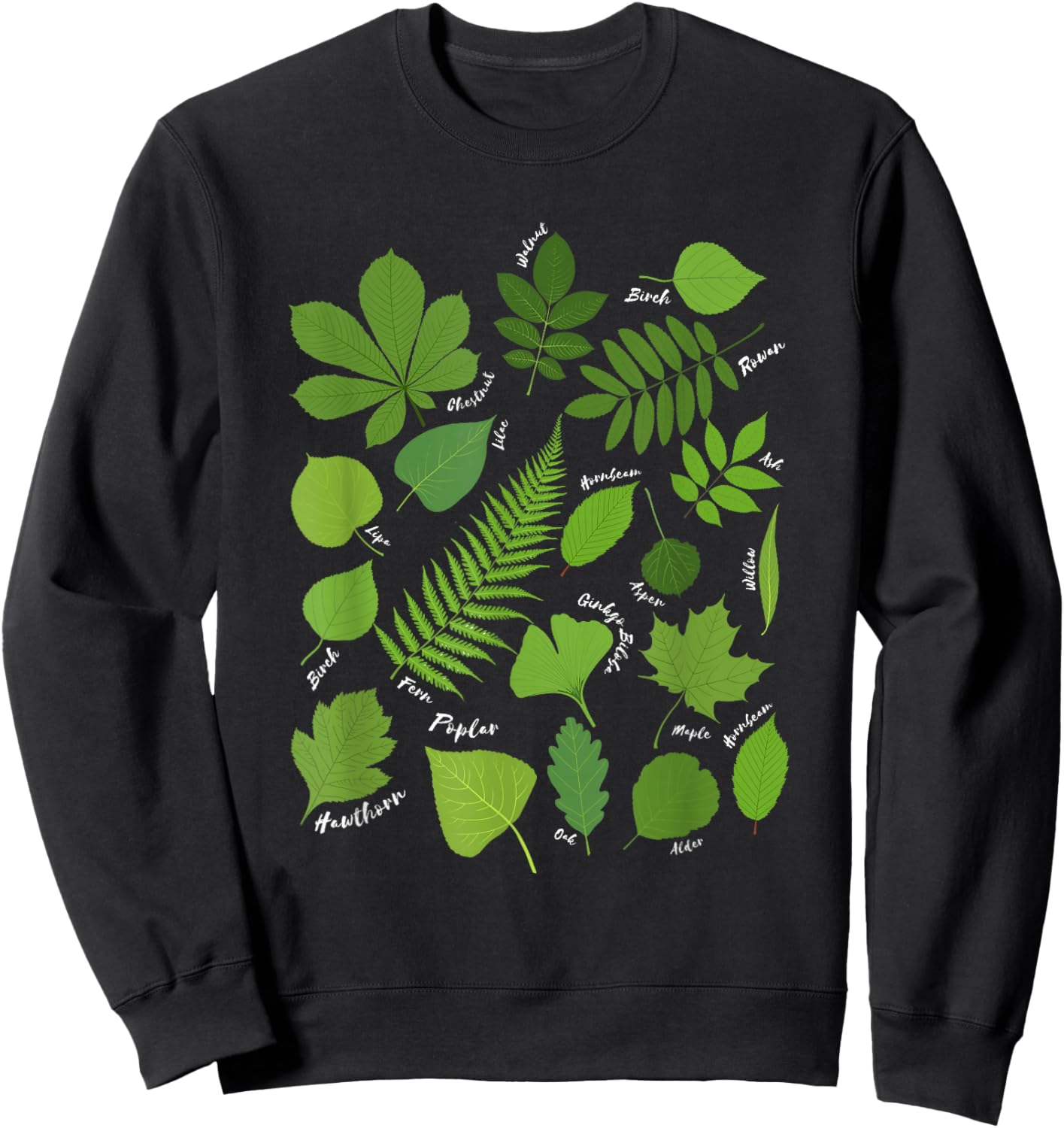 Different Types of Tree Leaves Common Leaves Nature Lovers Sweatshirt - Sweatshirt | Black