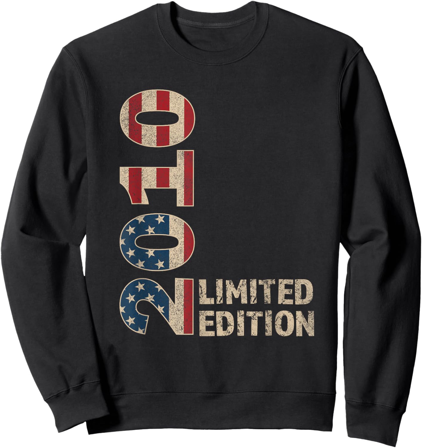 15th Birthday Gift Boy Vintage Born 2010 Turning 15 Year old Sweatshirt - Sweatshirt | Black
