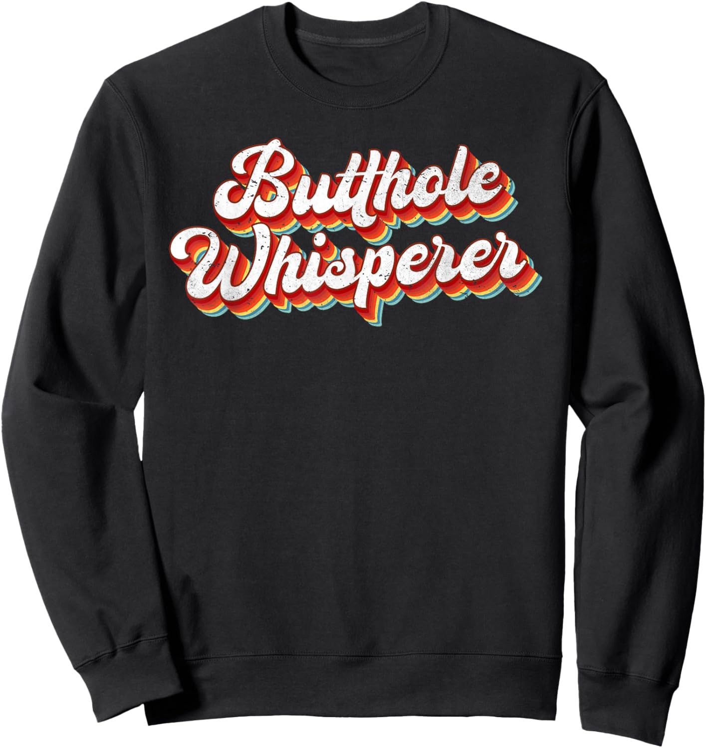 Butthole Whisperer Sarcastic Jokes Retro Vintage Humorour Sweatshirt - Sweatshirt | Black