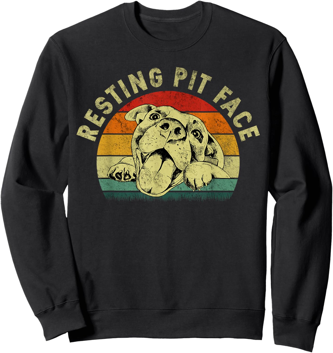 Retro Vintage Resting Pit Face Pitbull Funny Dog Lovers Gift Women Sweatshirt - Sweatshirt | Black