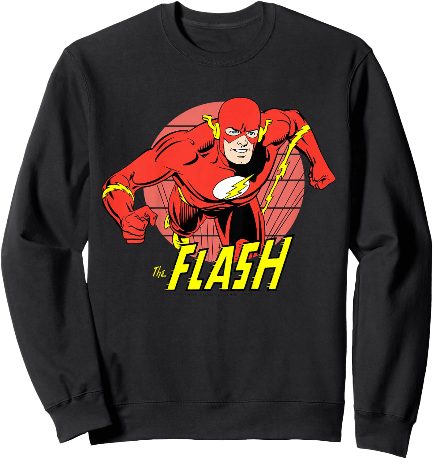 Kids DC Comics The Flash Running Portrait Sweatshirt - Sweatshirt | Black