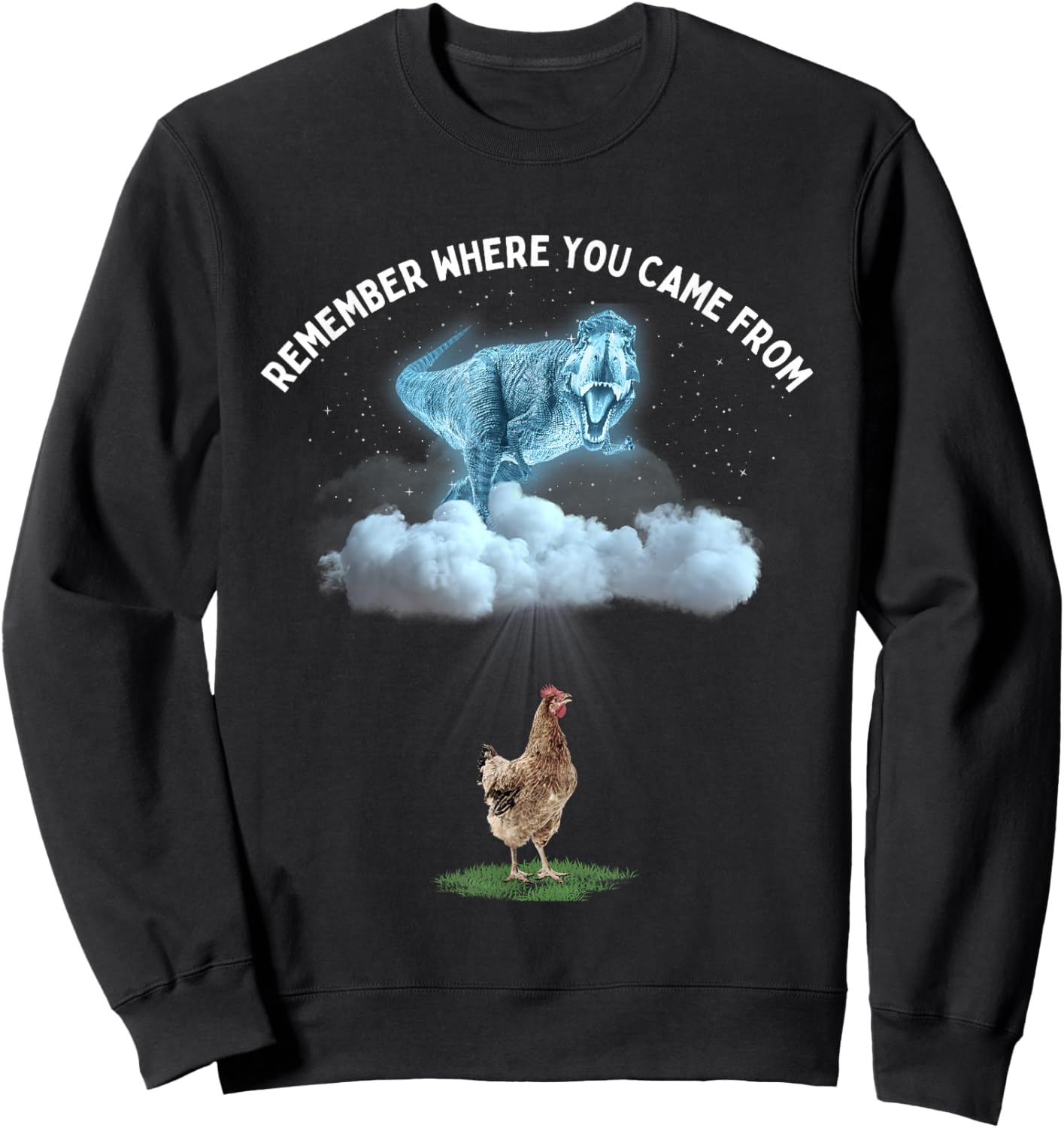 Remember Where You Came From Dinosaur and Chicken Sweatshirt - Sweatshirt | Black