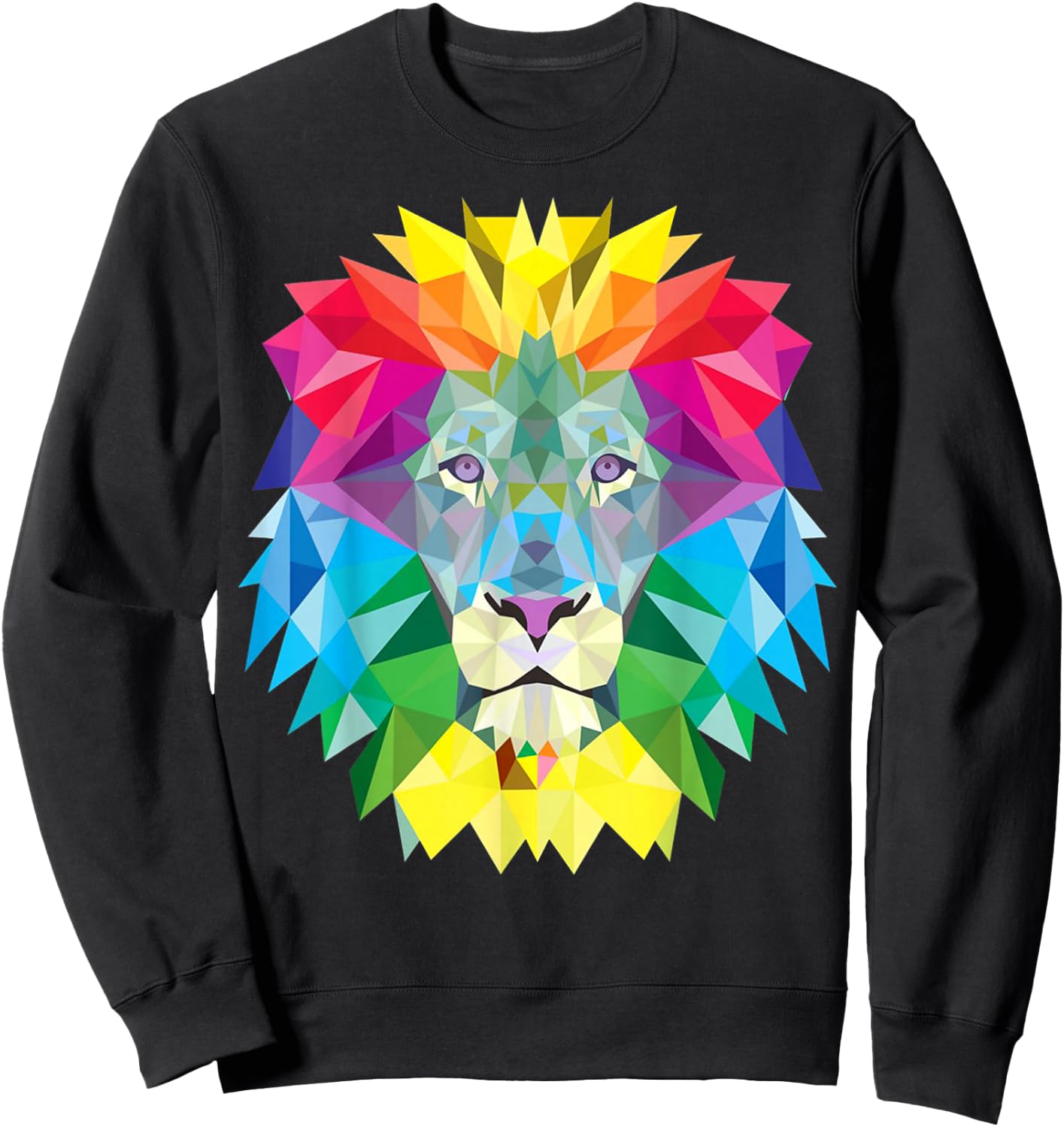 Geometric Rainbow Lion Face Sweatshirt - Sweatshirt | Black