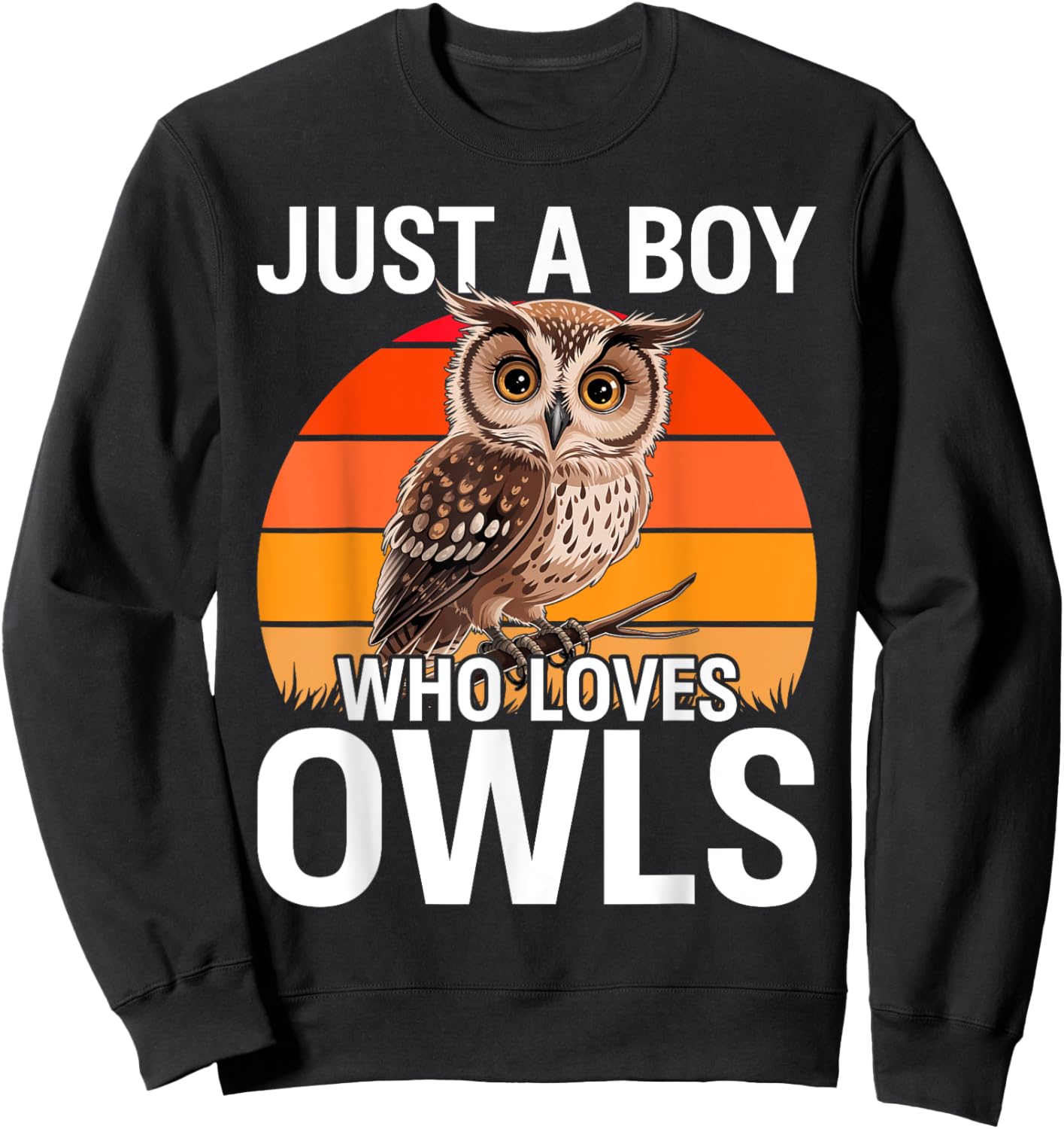 Just a Boy Who Loves Owls For Toddlers Boys Kids Birds Lover Sweatshirt - Sweatshirt | Black