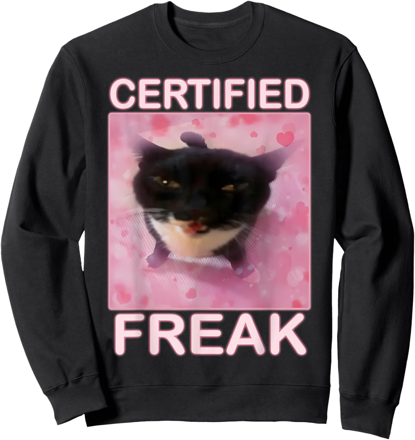 Cat Meme Certified Freak Eat Cement Cursed Cat Funny Sweatshirt - Sweatshirt | Black