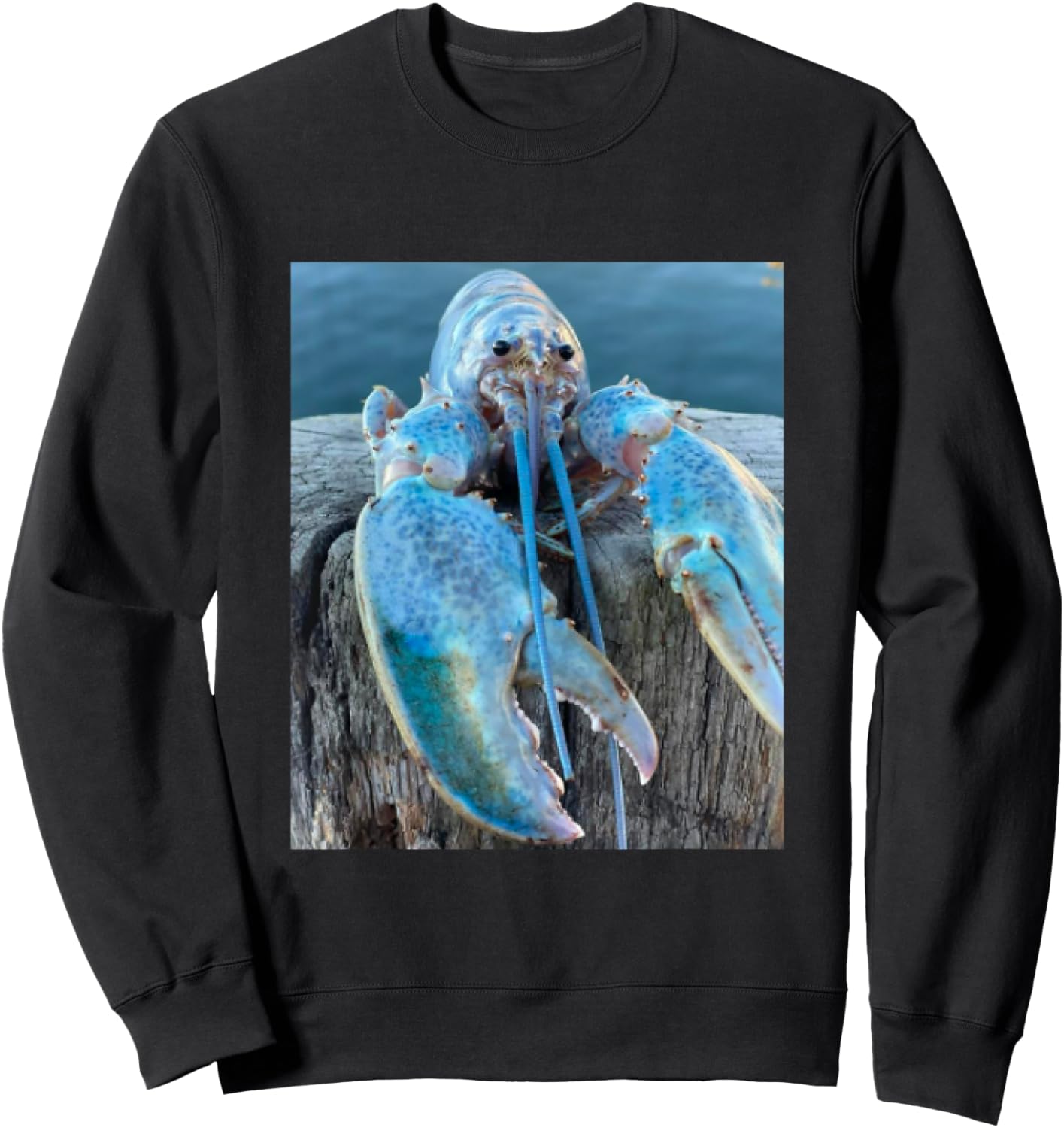 Funny Jumpscare Lobster Meme Blue Crustacean Sweatshirt - Sweatshirt | Black