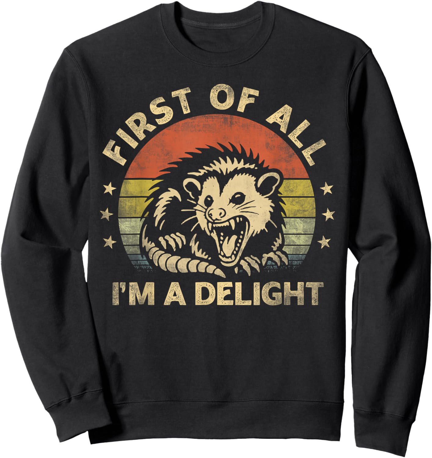 First Of All I'm A Delight Sarcastic Angry Opossum Lover Sweatshirt - Sweatshirt | Black