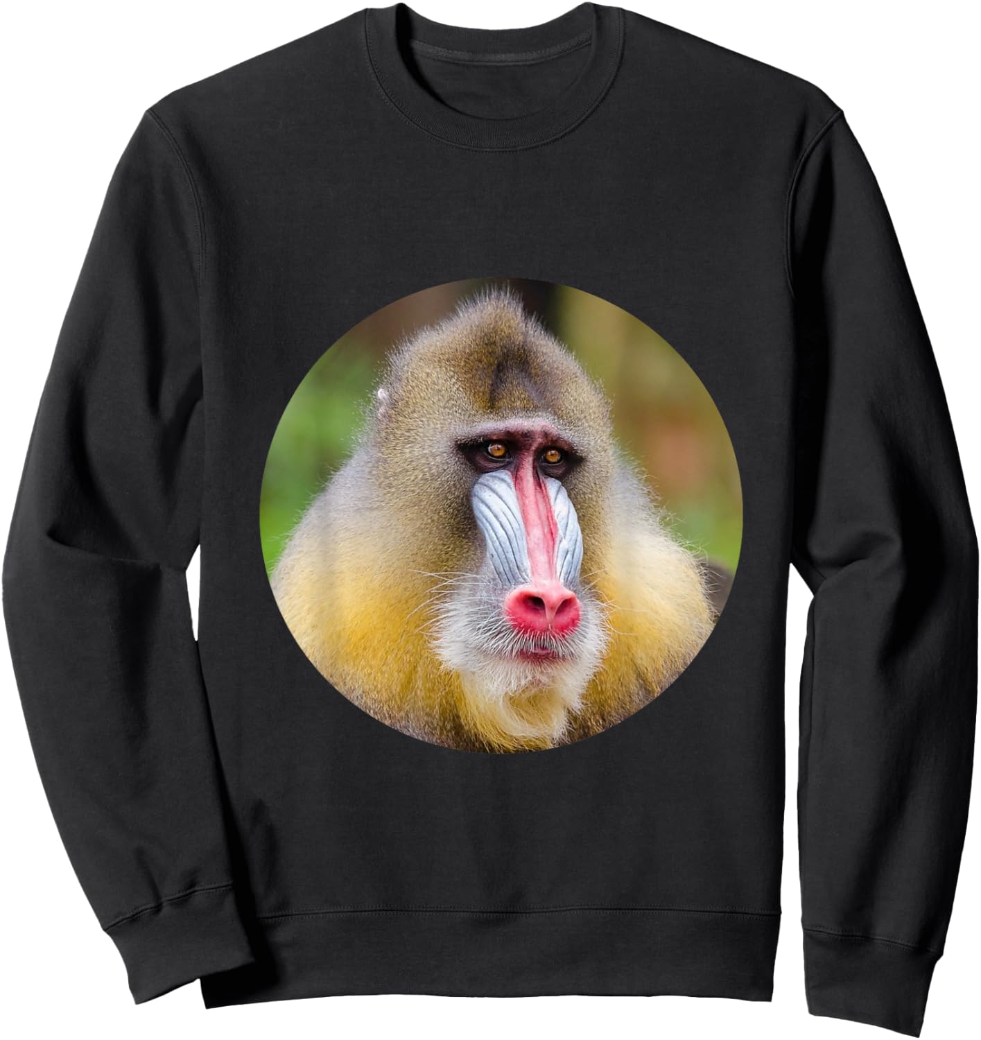 Mandrill Sweatshirt - Sweatshirt | Black