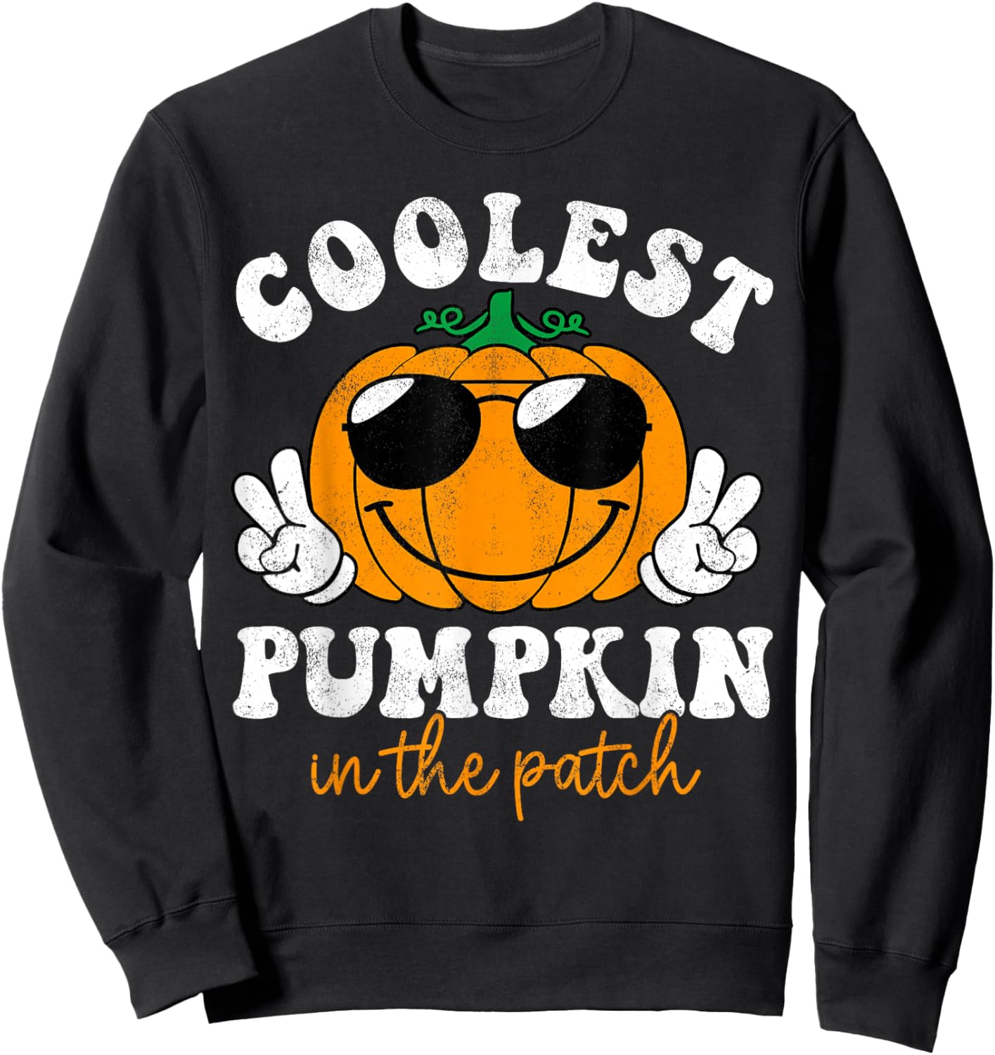 Groovy Coolest Pumpkin In The Patch Halloween Toddler Boys Sweatshirt - Sweatshirt | Black