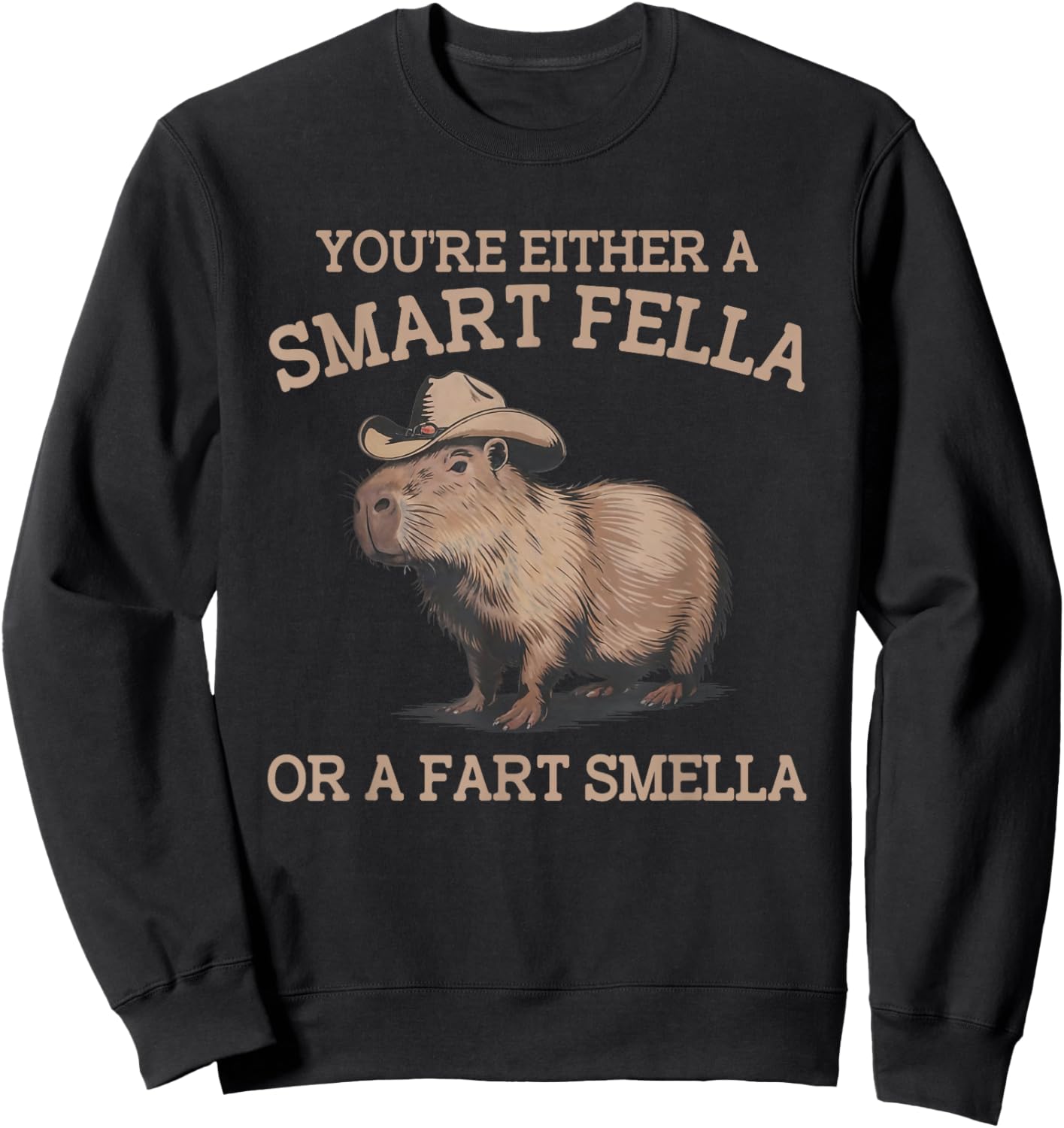 Funny Capybara You're Either A Smart Fella Or A Fart Smella Sweatshirt - Sweatshirt | Black