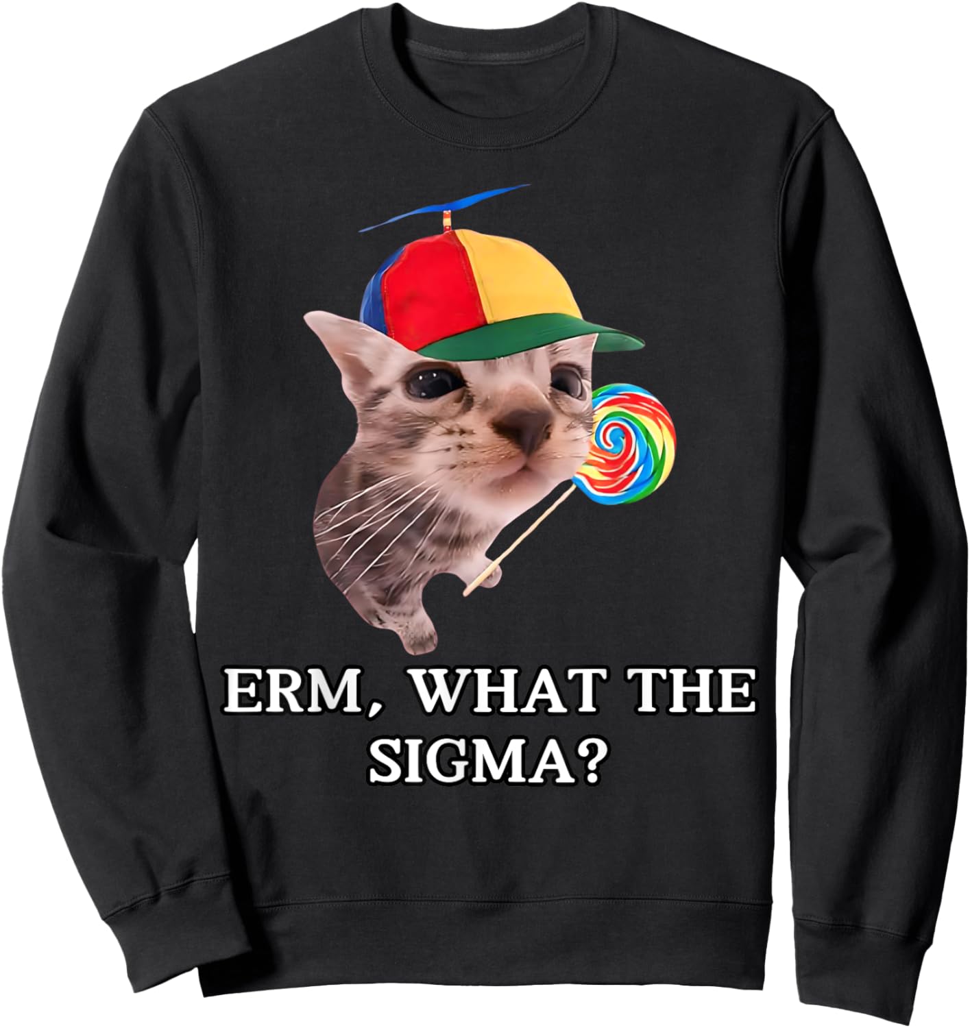 Erm What Sigma Cat Meme Funny Memes Internet Memes Joke Sweatshirt - Sweatshirt | Black