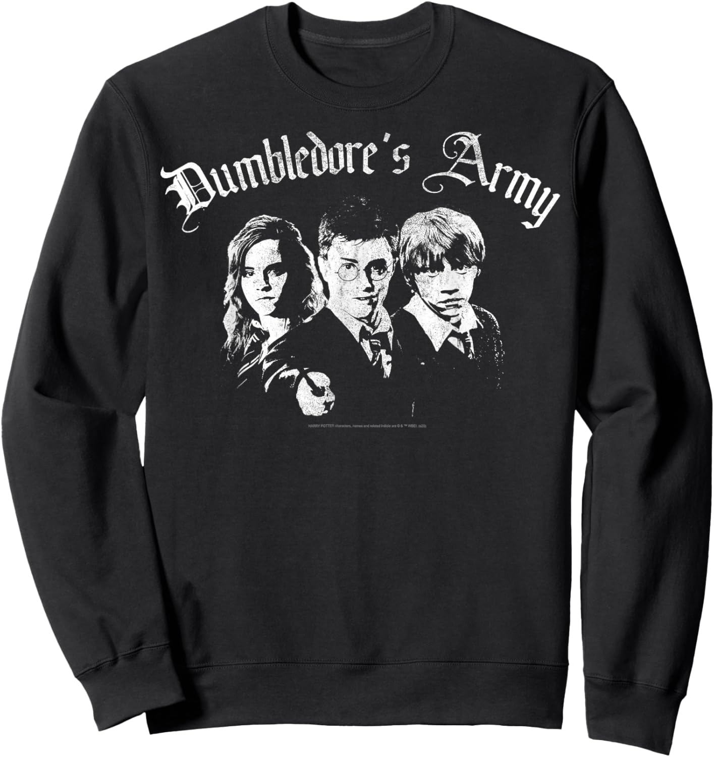 Harry Potter Dumbledore's Army Group Shot Sweatshirt - Sweatshirt | Black