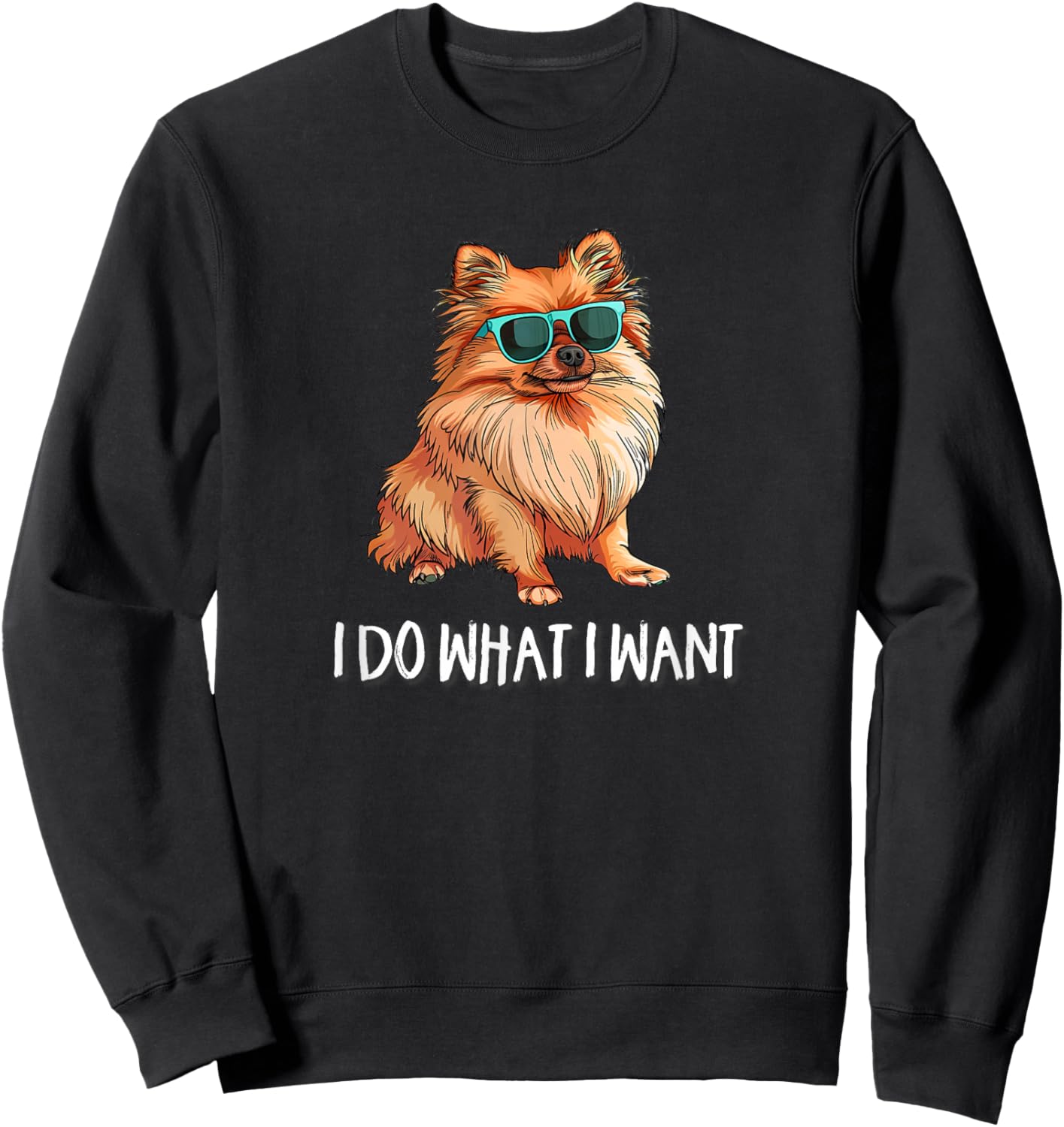 Funny I Do What I Want Pomeranian Lover Sweatshirt - Sweatshirt | Black