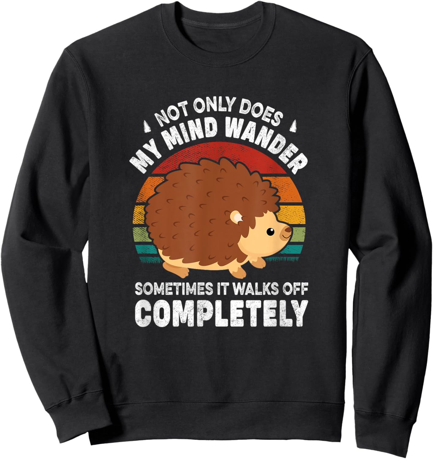 Funny Hedgehog Design Women Hedgehogs Lover Sweatshirt - Sweatshirt | Black