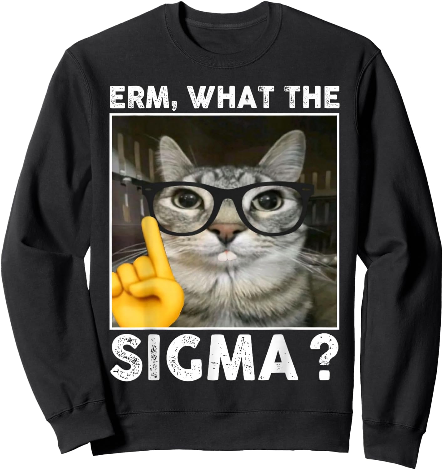 Erm, What the Sigma? Cat Meme Funny Cat With Sunglasses Sweatshirt - Sweatshirt | Black