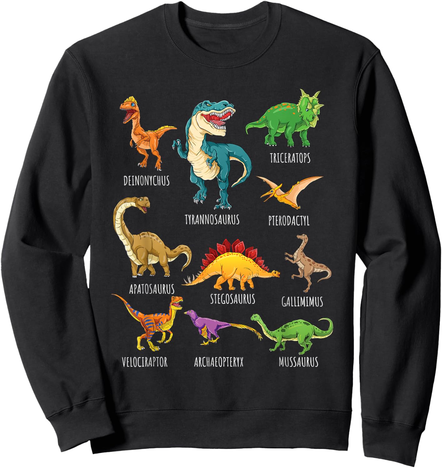 Types of Dinosaurs Graphics Dino Identification Small Sweatshirt - Sweatshirt | Black