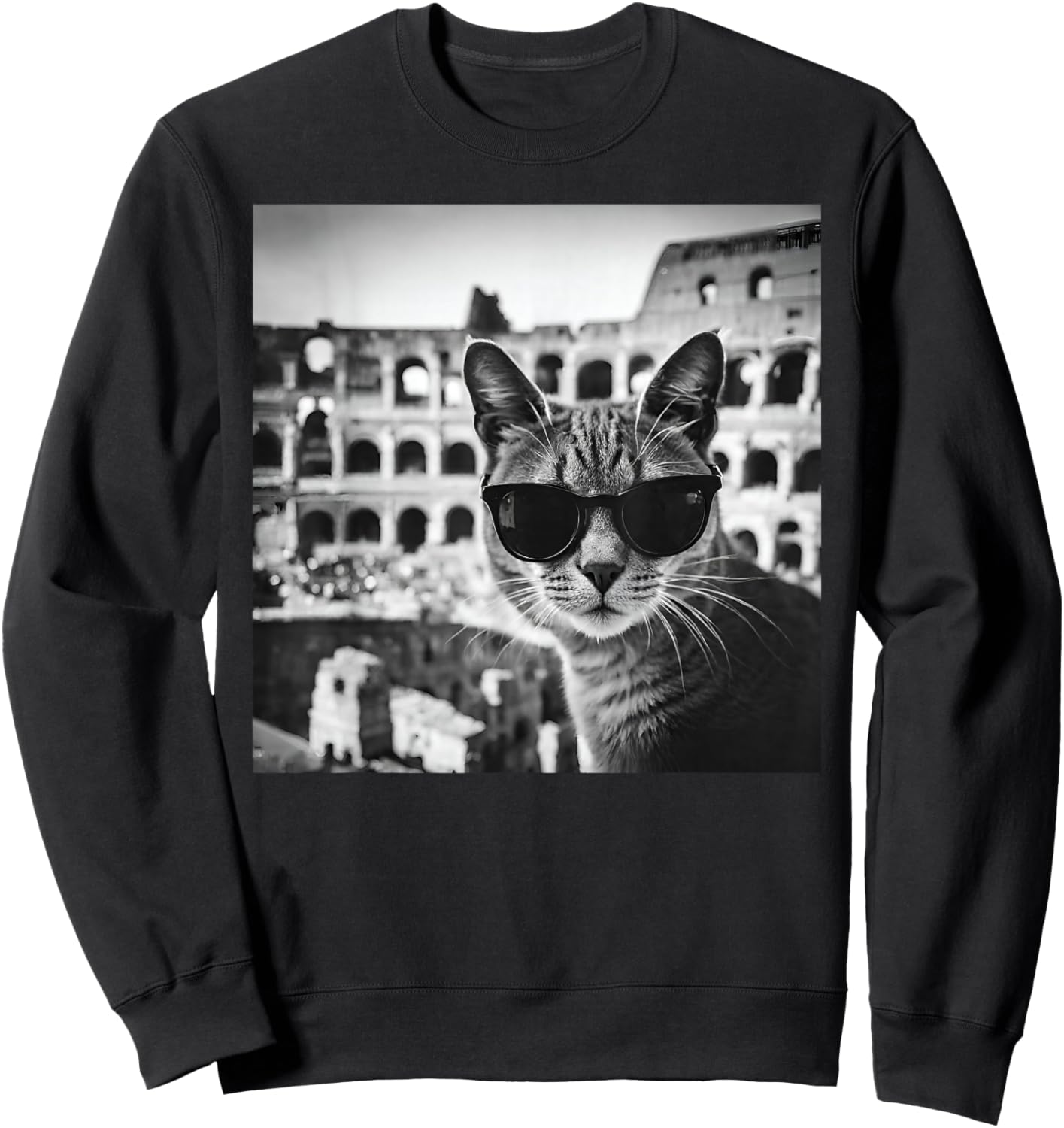 Funny Italy Cat Wearing Sunglasses At The Roman Colosseum Sweatshirt - Sweatshirt | Black