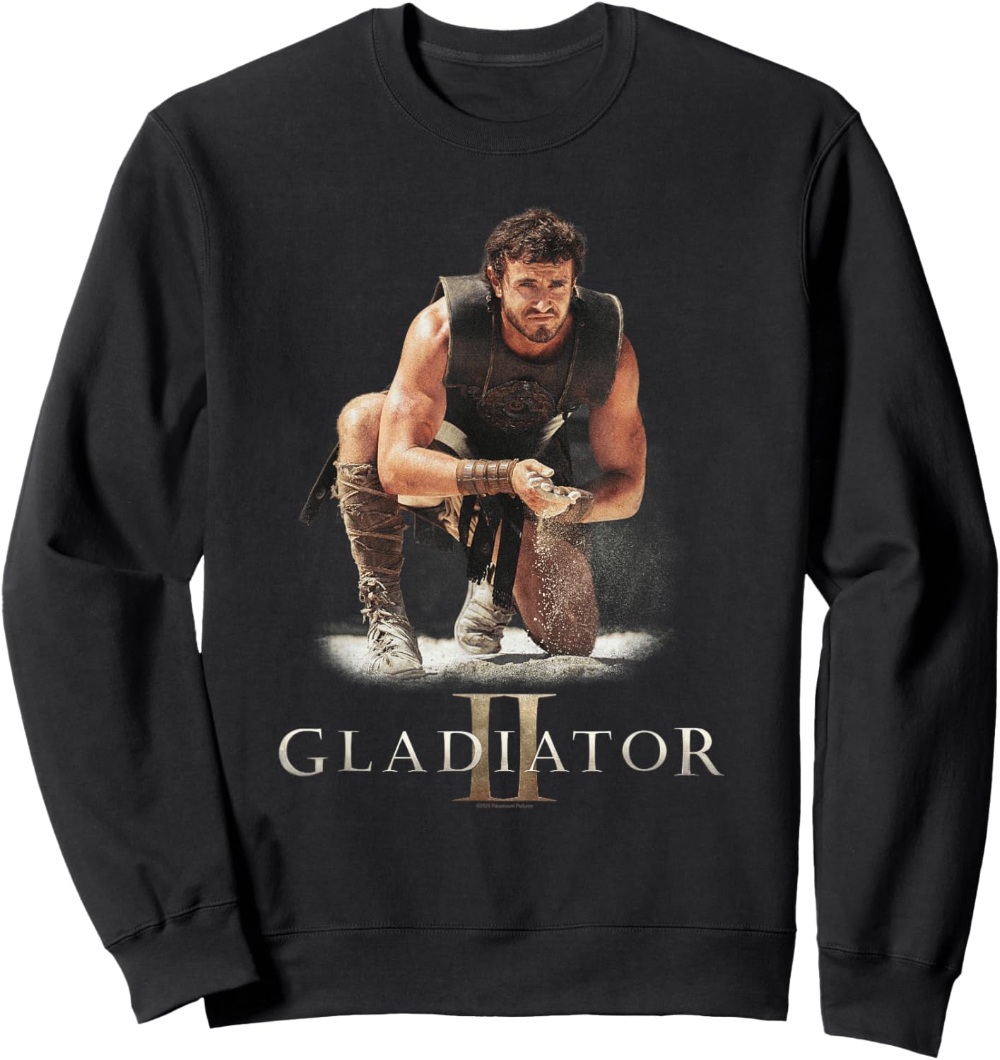 Ripple Junction x Gladiator II Lucius Verus Gladiator Battle , Black, S Sweatshirt - Sweatshirt | Black
