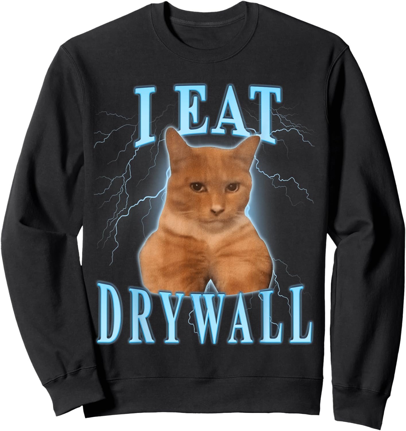 I eat drywall Cat Men Women Kids Sweatshirt - Sweatshirt | Black