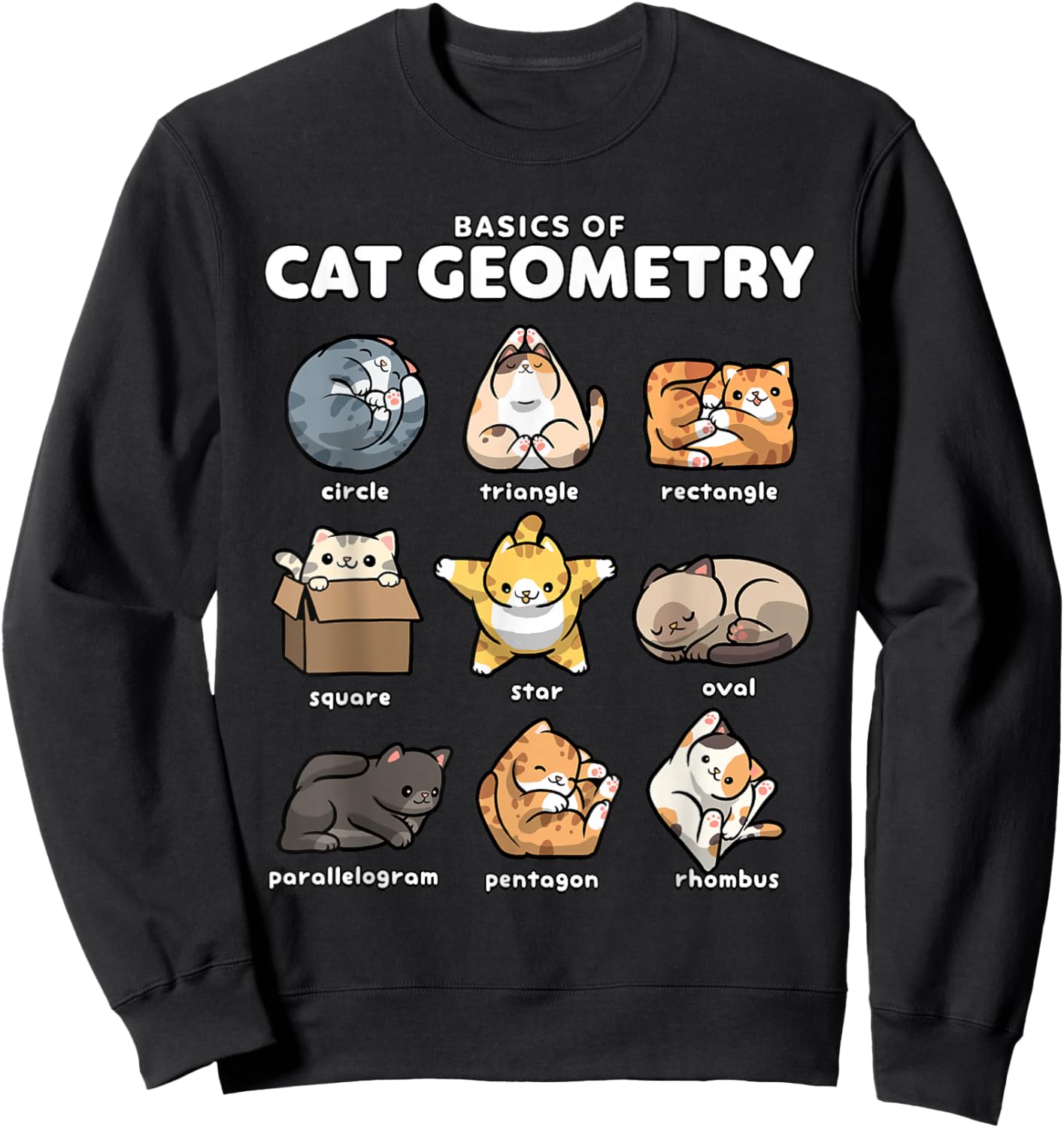 Basics of Cat Geometry Cute Math Cats Sweatshirt - Sweatshirt | Black