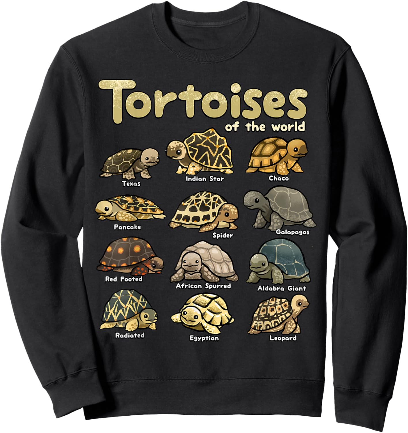 Tortoise Animals of the World Cute Reptile Turtle Lover Sweatshirt - Sweatshirt | Black