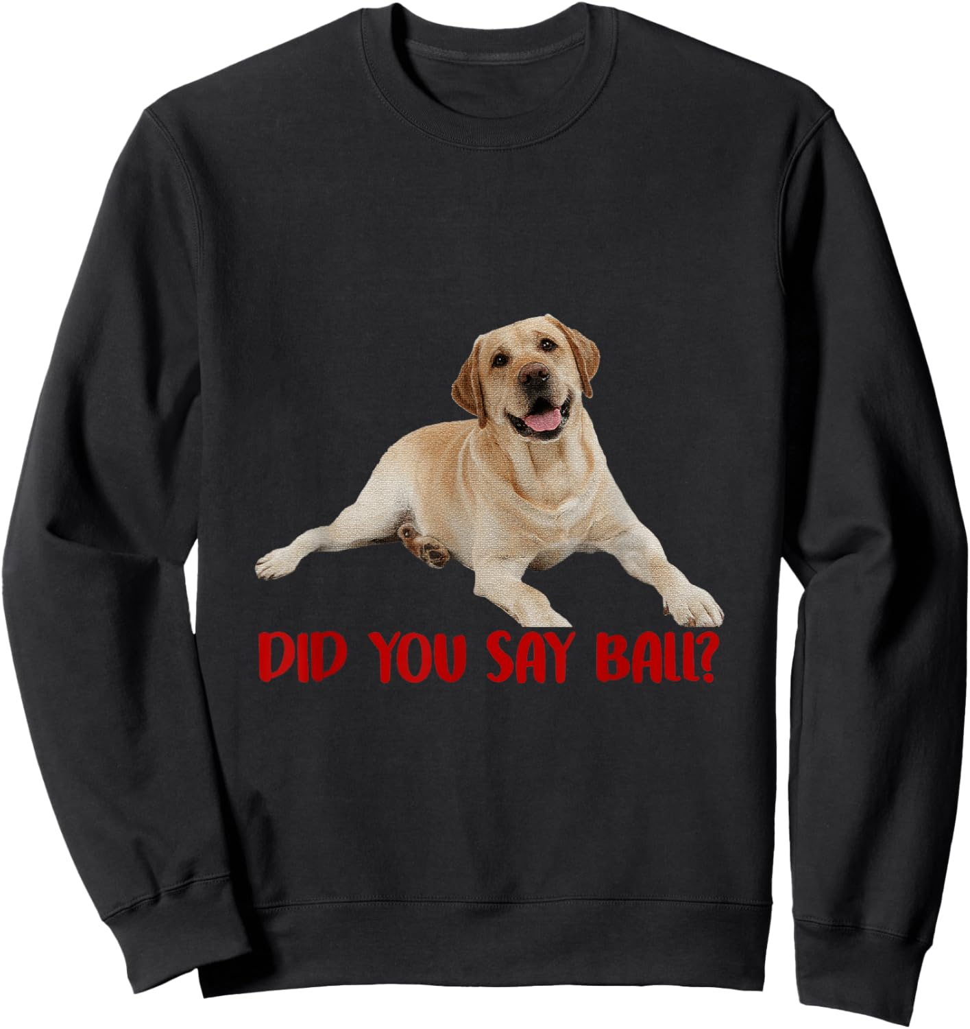 Yellow Lab Did You Say Ball Labrador Lover Dog Pet Owner Sweatshirt - Sweatshirt | Black