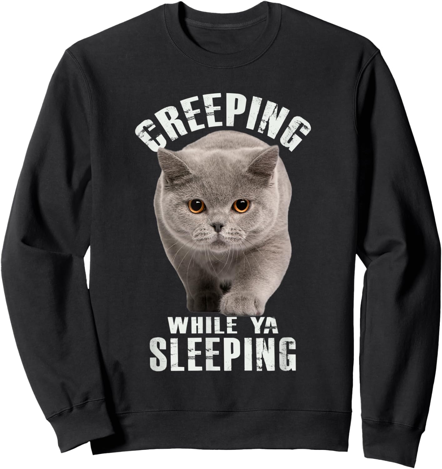 Funny British Shorthair Cat Shirt Creeping While Ya Sleeping Sweatshirt - Sweatshirt | Black