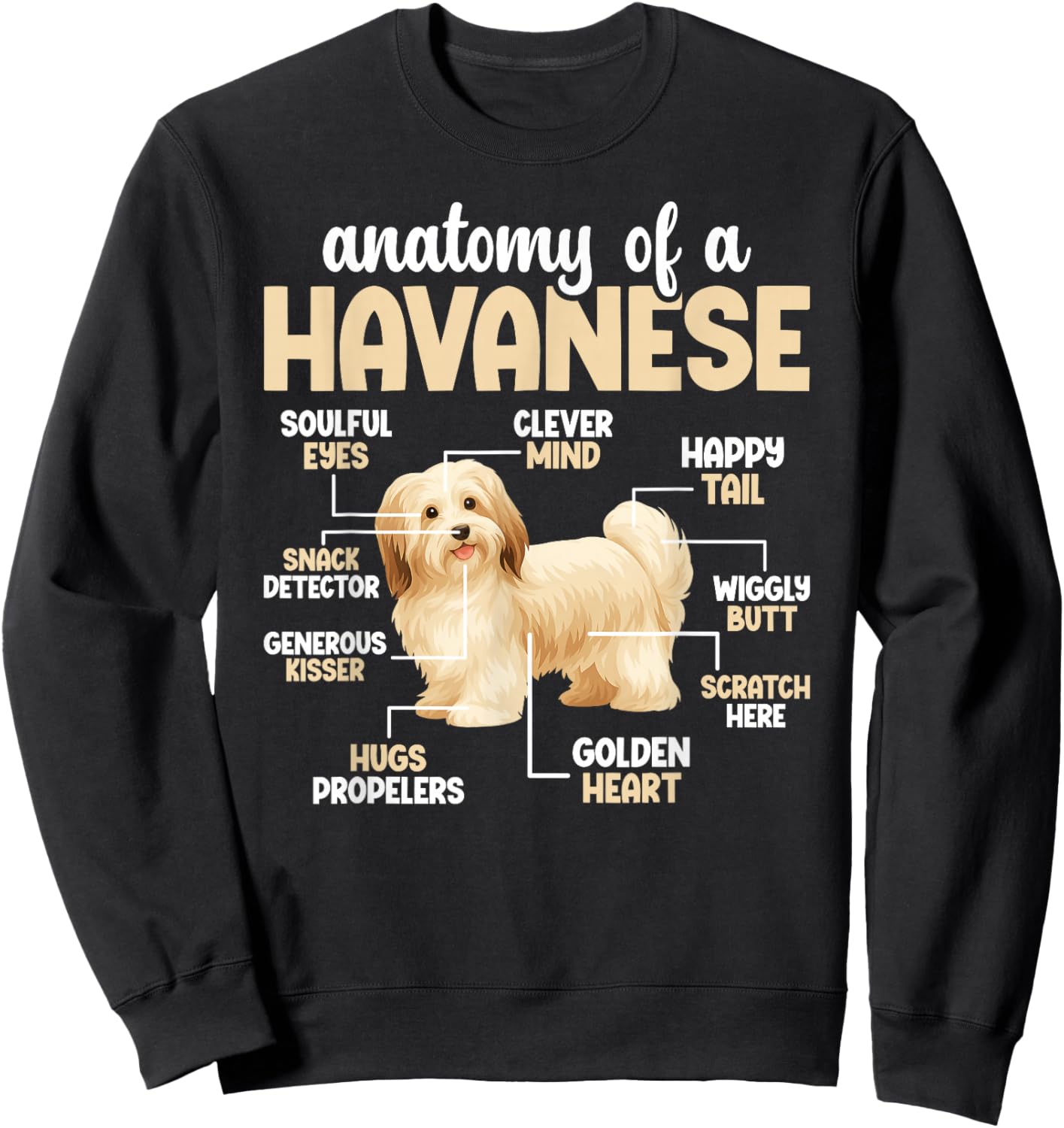 Anatomy of A Havanese Dog Havanese Owner Havanese Lover Sweatshirt - Sweatshirt | Black