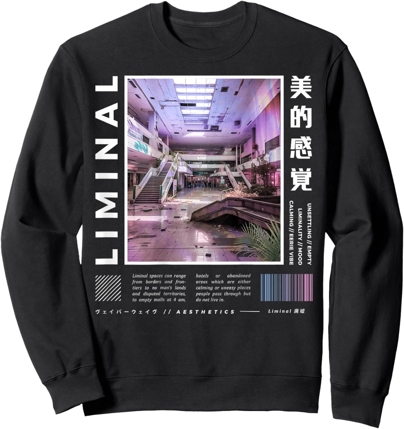 Liminal Spaces (BackPrint) Vaporwave Backrooms Pastel Goth Sweatshirt - Sweatshirt | Black