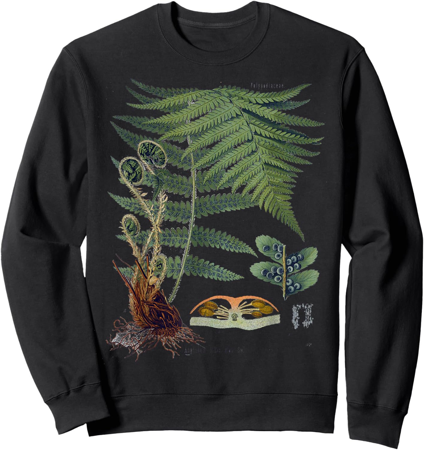 Fern Botanical Plants Botany Sweatshirt - Sweatshirt | Black